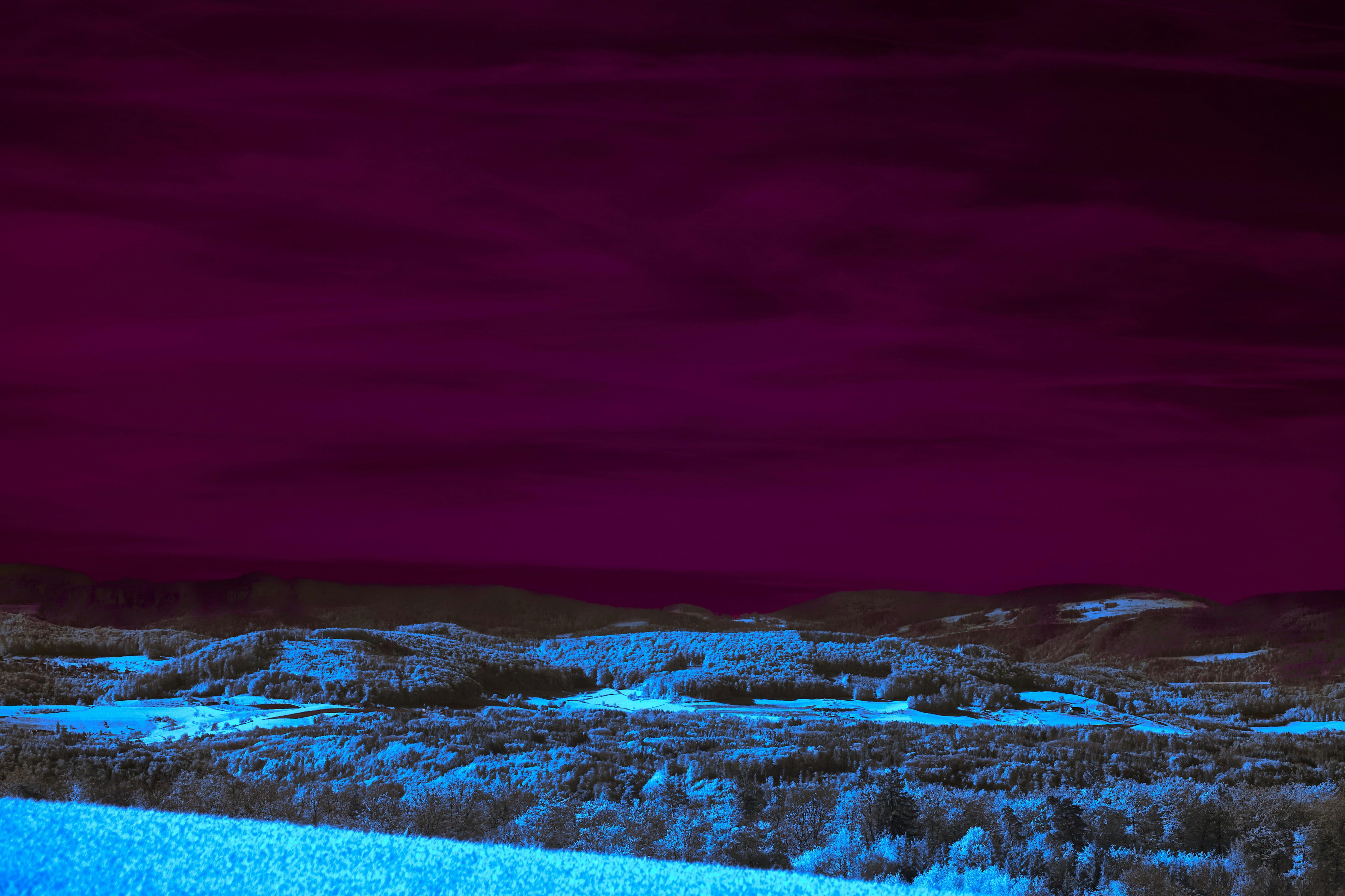 Photo by wolfgang_hasselmann