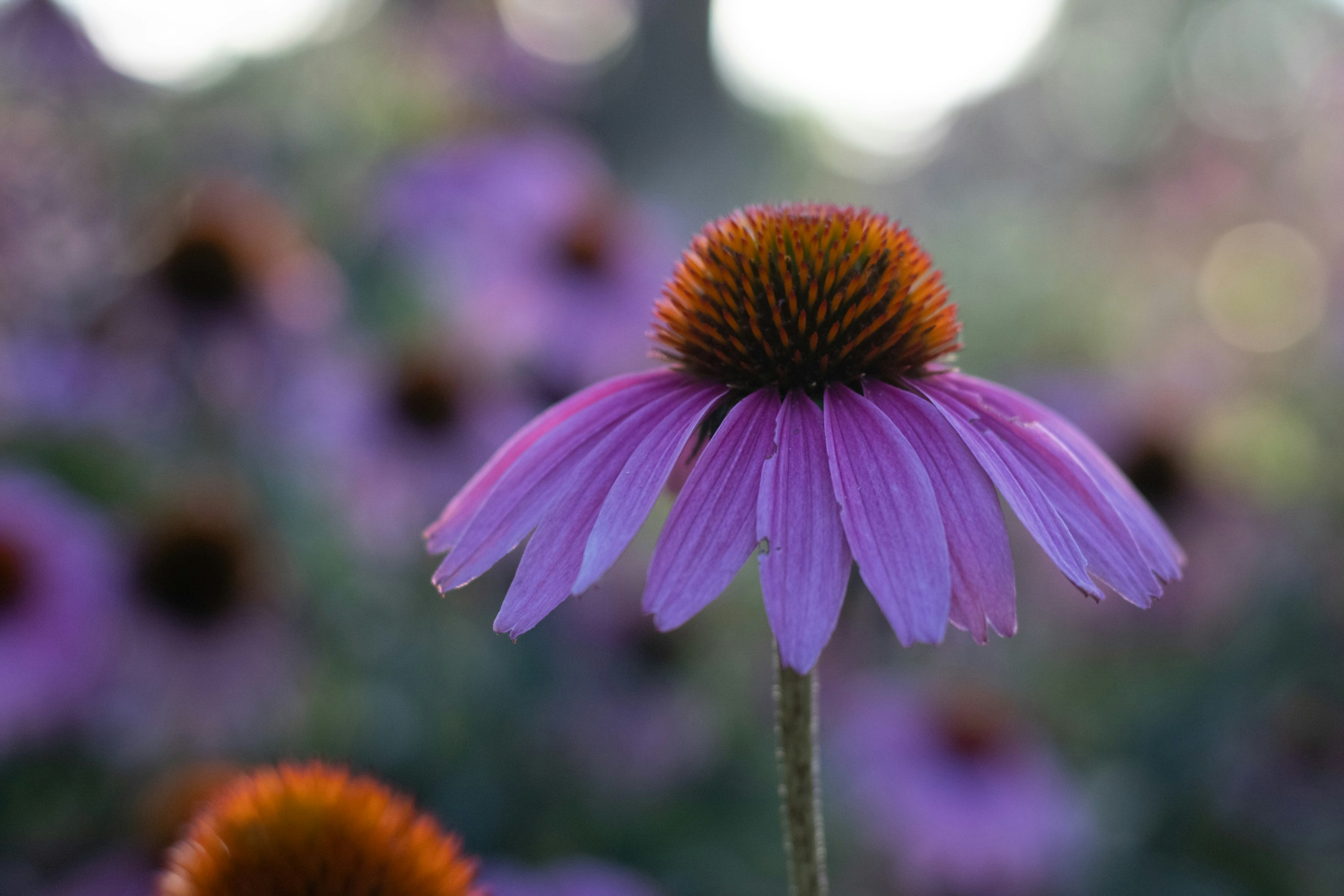 Photo by taliakolecki