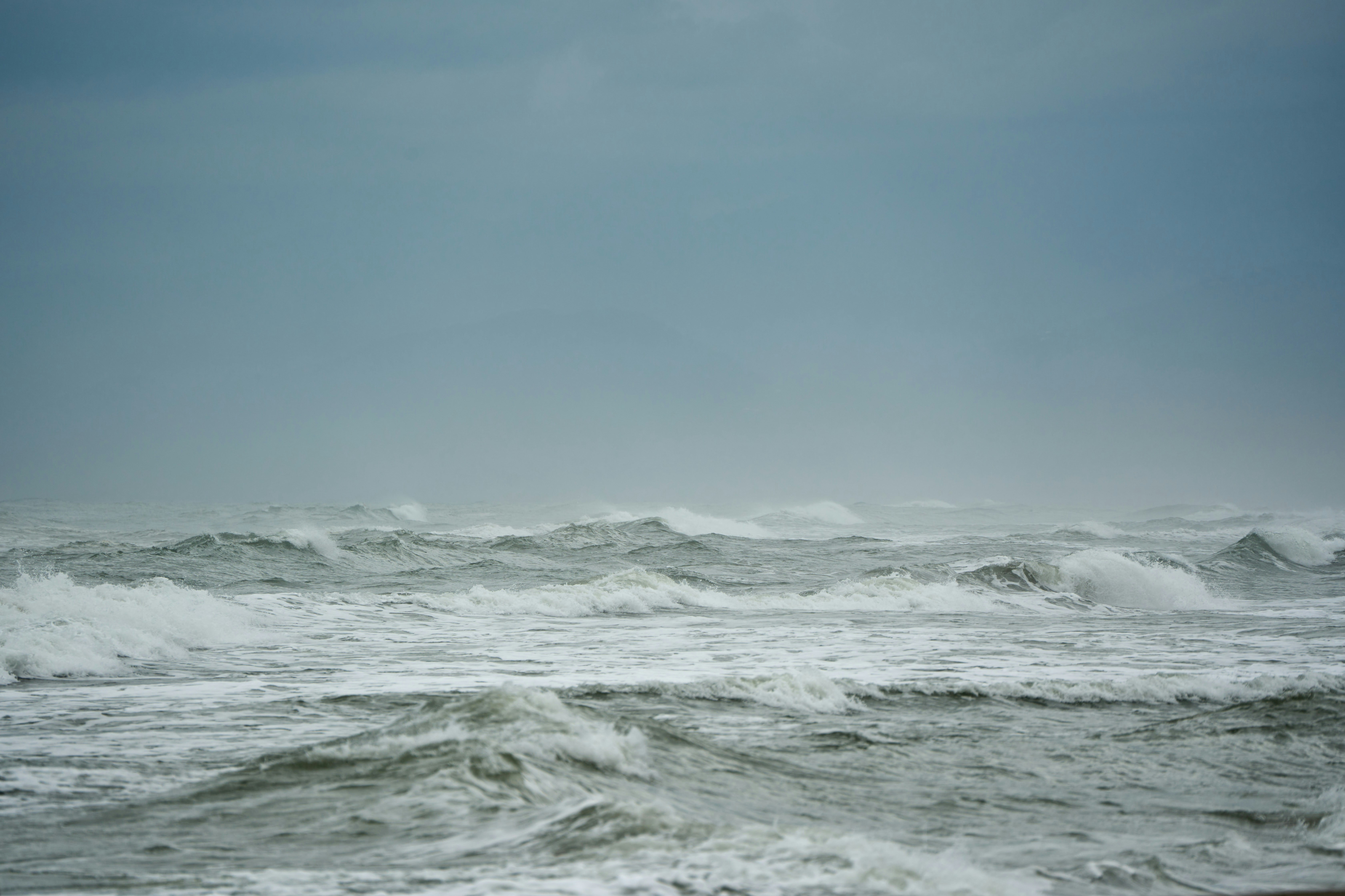 Photo by wolfgang_hasselmann