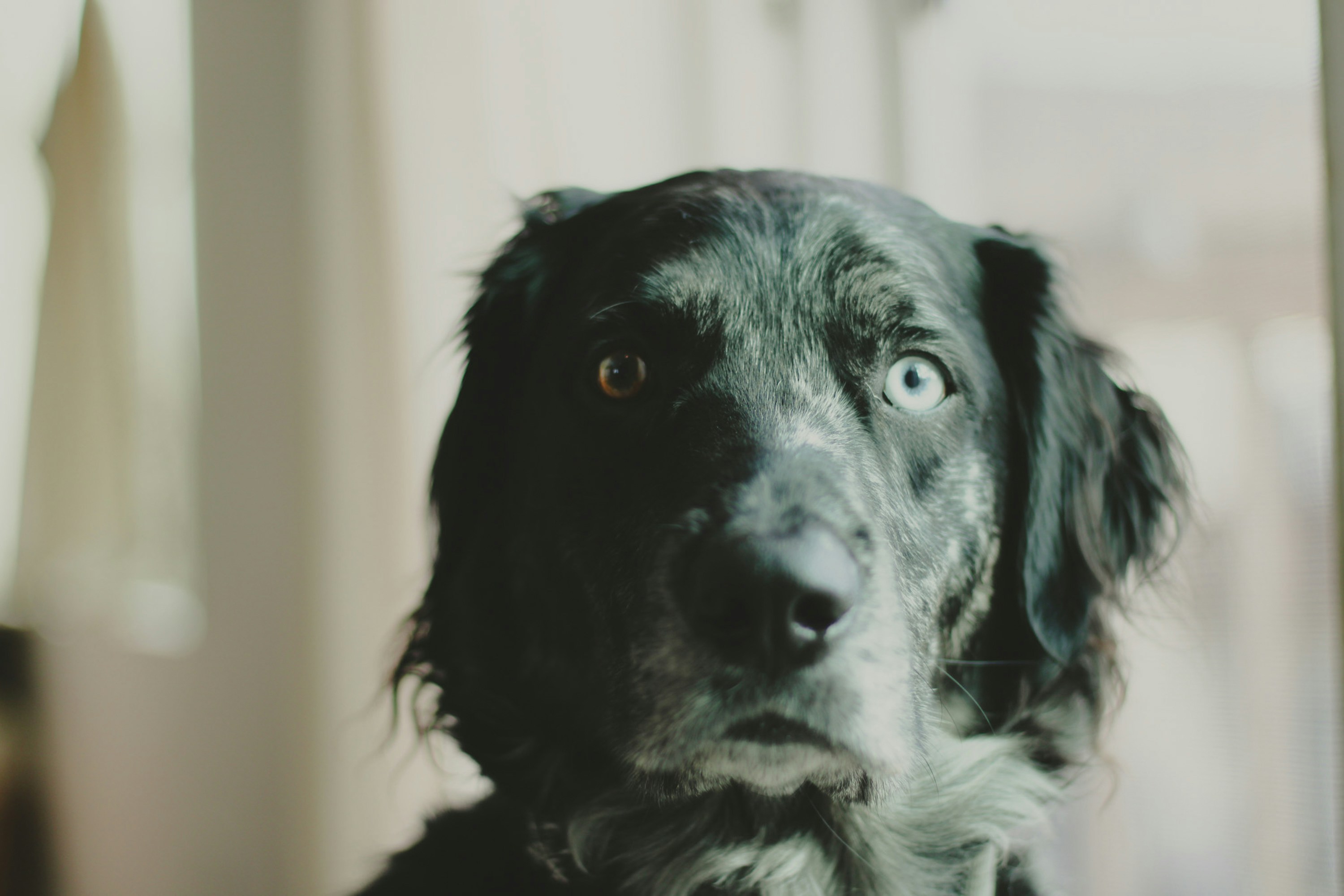 Photo by taliakolecki