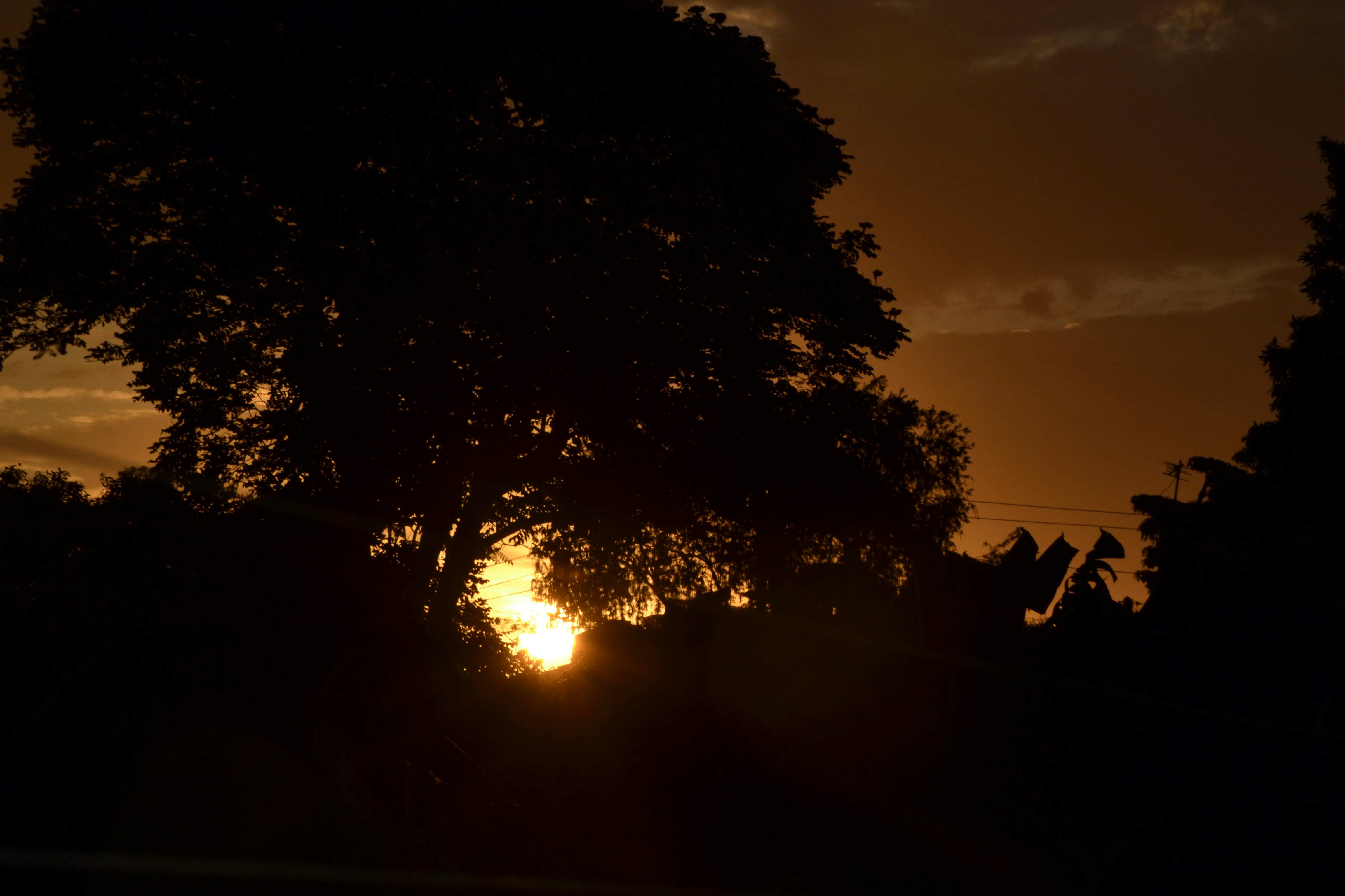 Photo by bigman_ceco