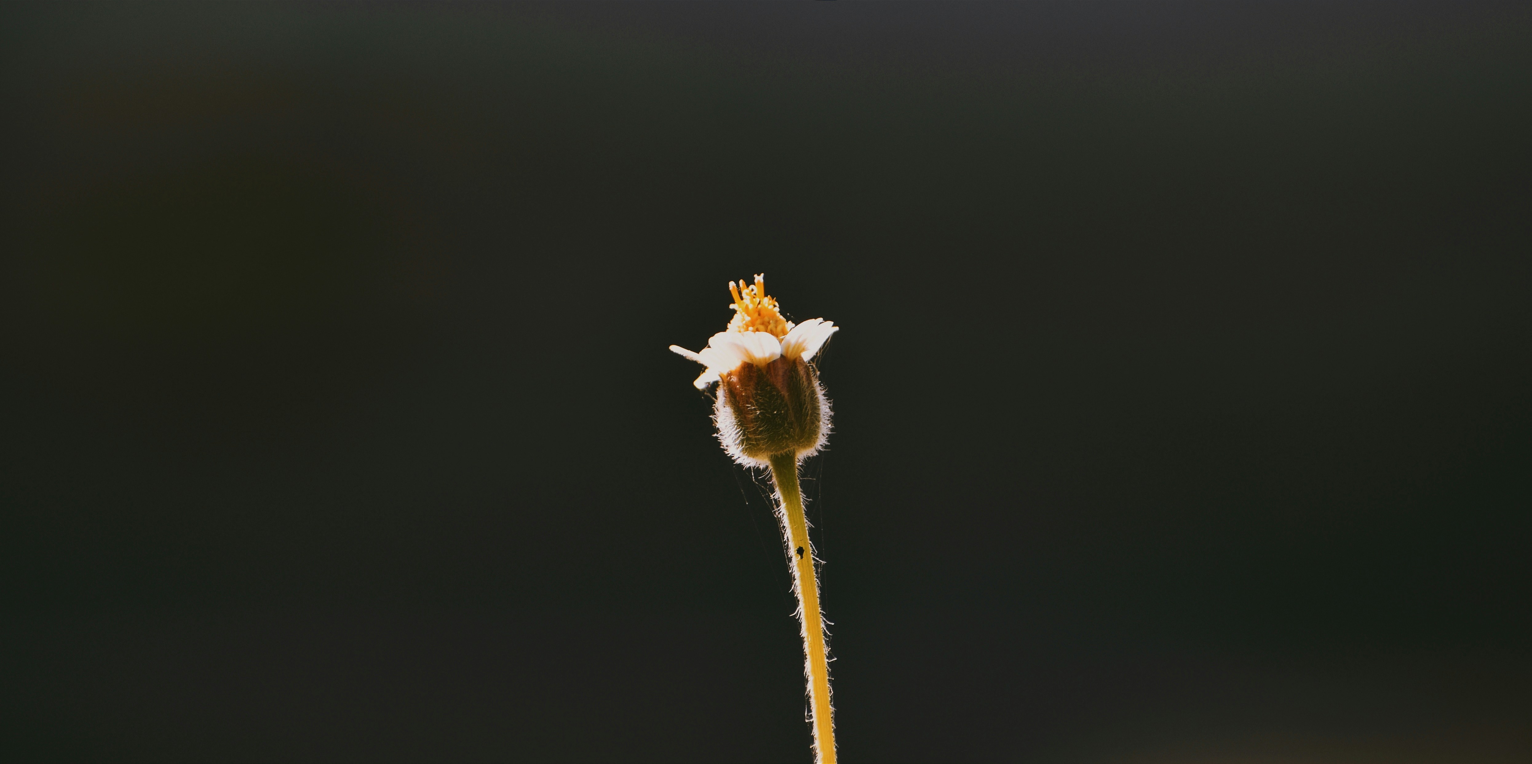 Photo by pavitra_cinematics02