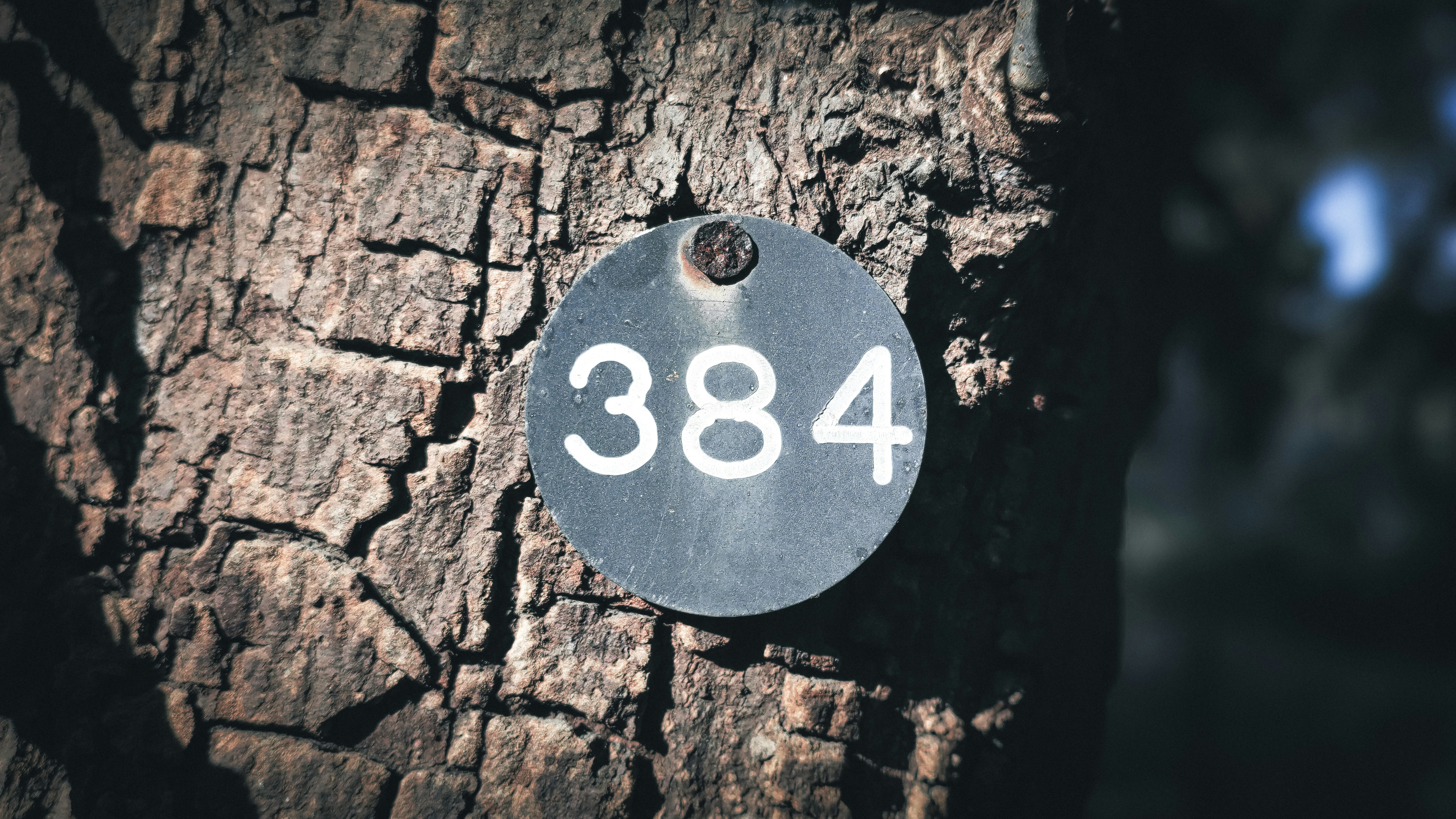 A close up of a tree with a number on it