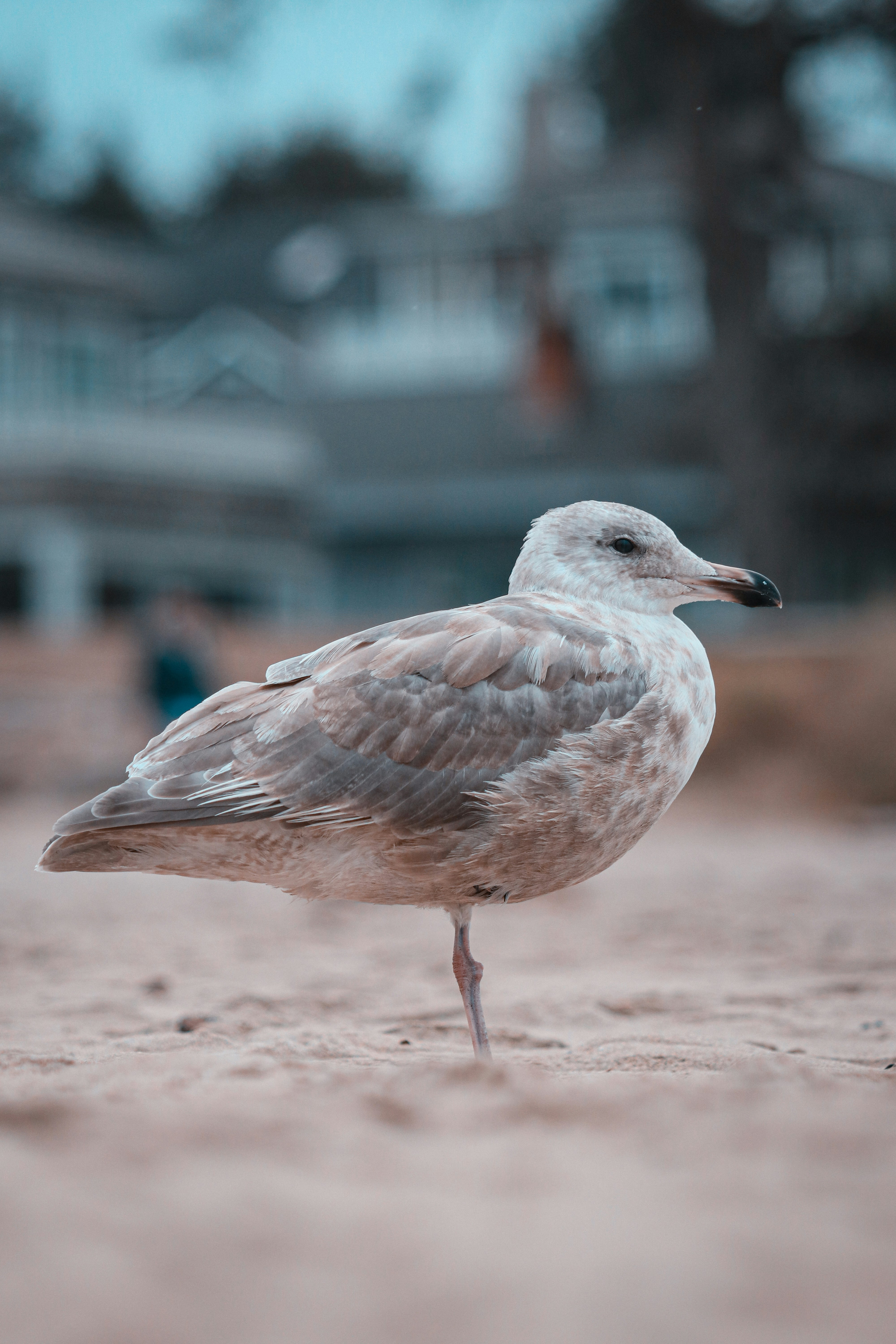 Photo by bolane