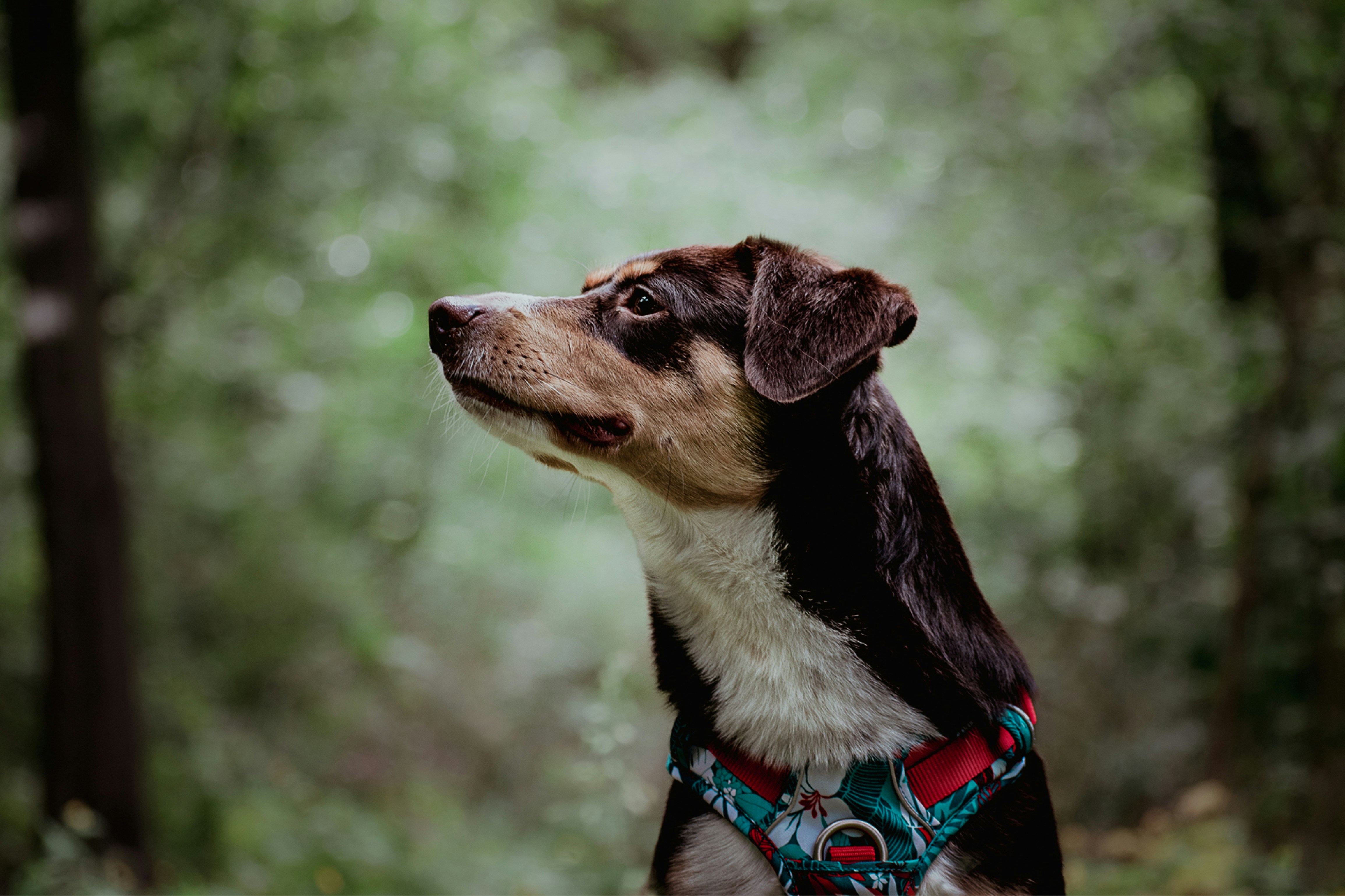 Photo by colorful_jelly