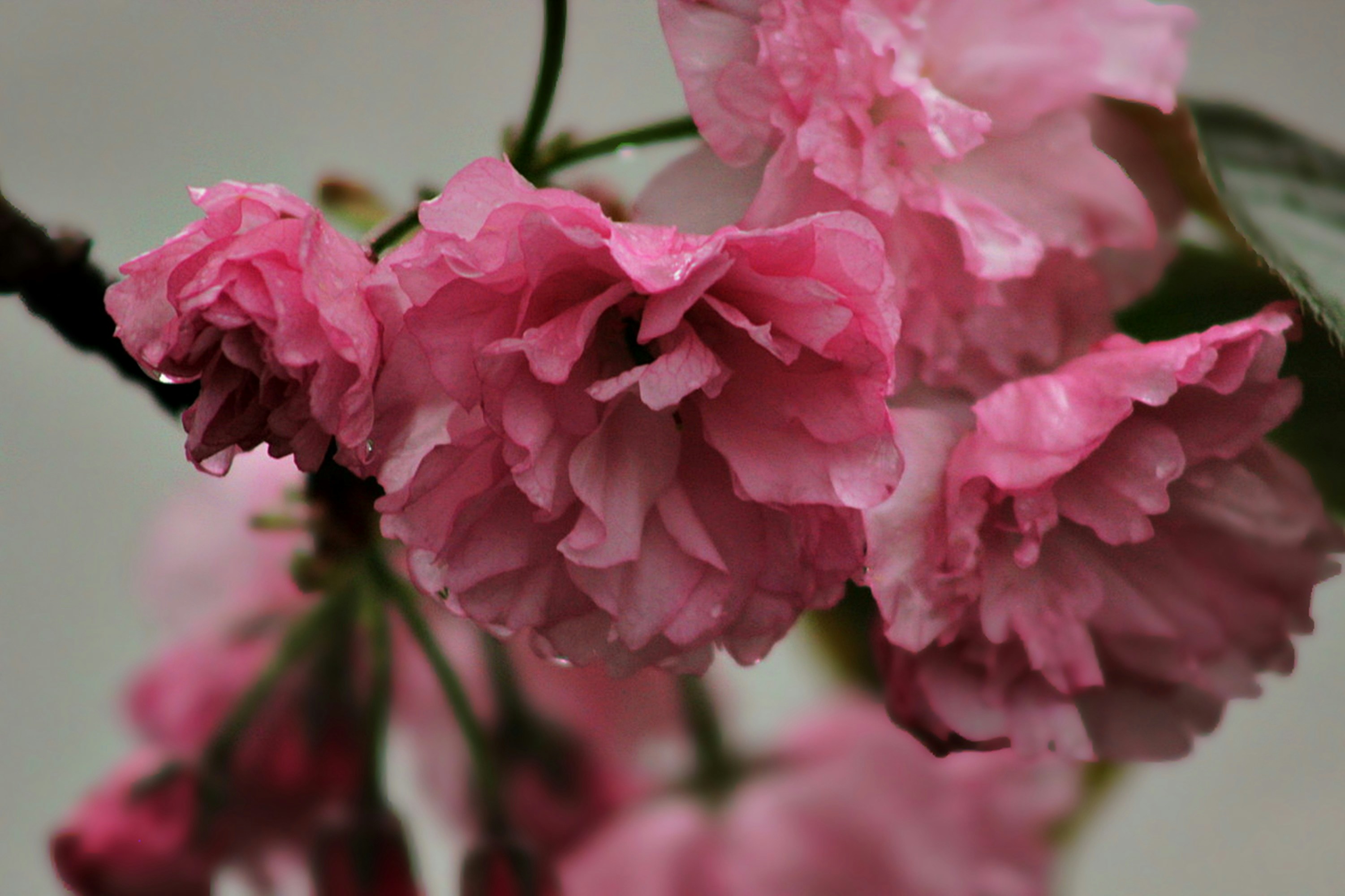 Photo by viewsofthecamera