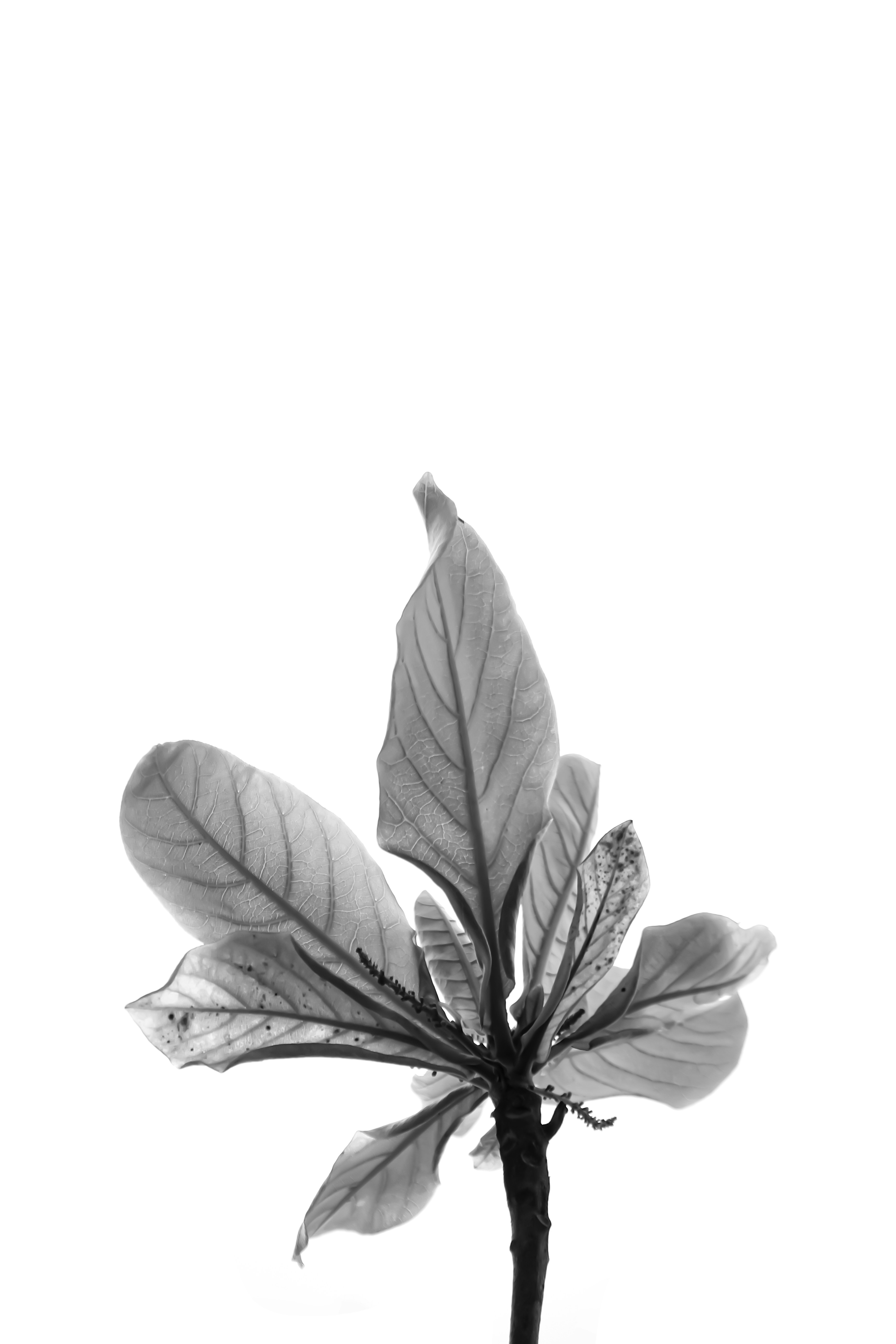 Photo by najoi_designer