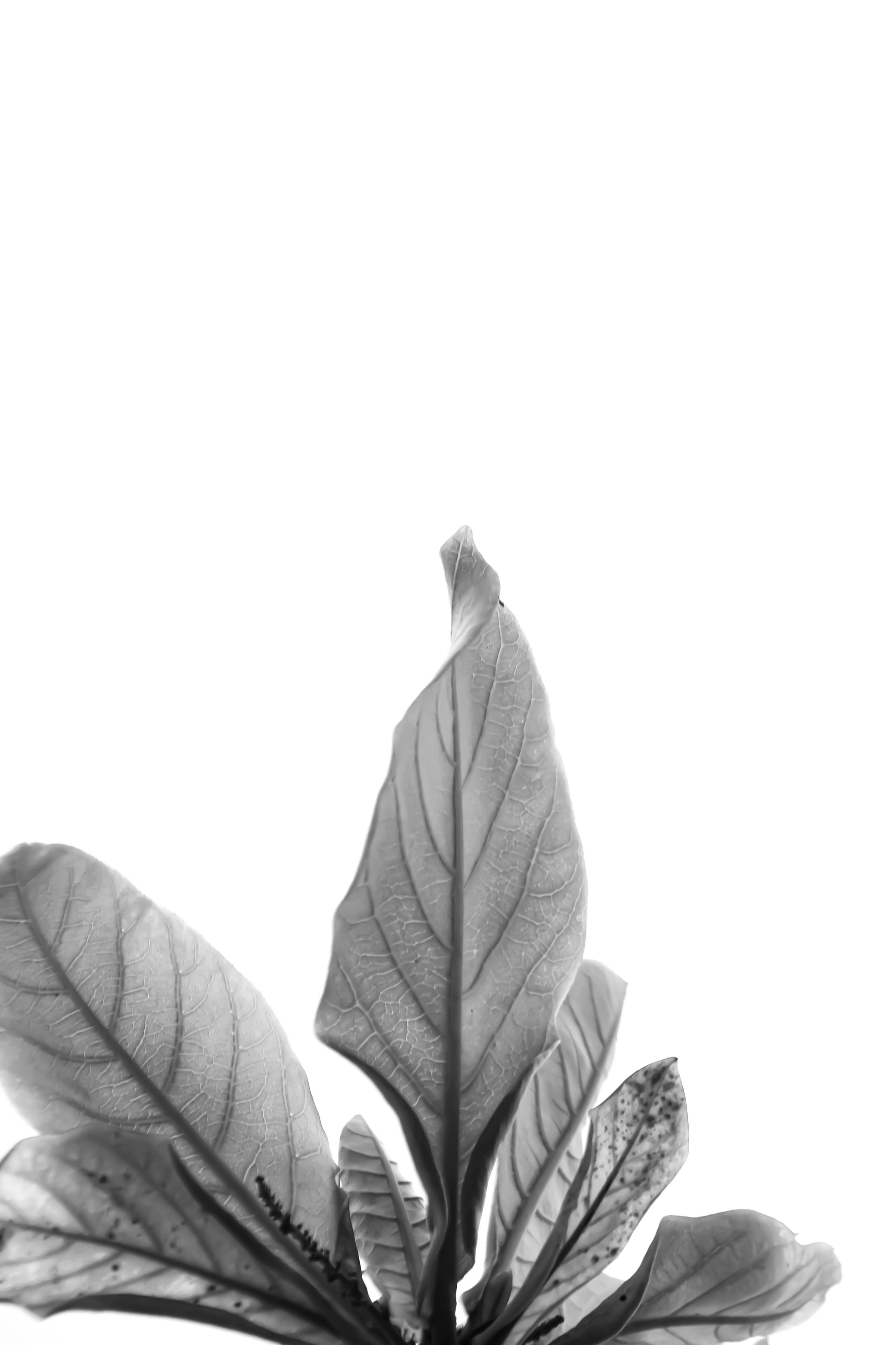 Photo by najoi_designer