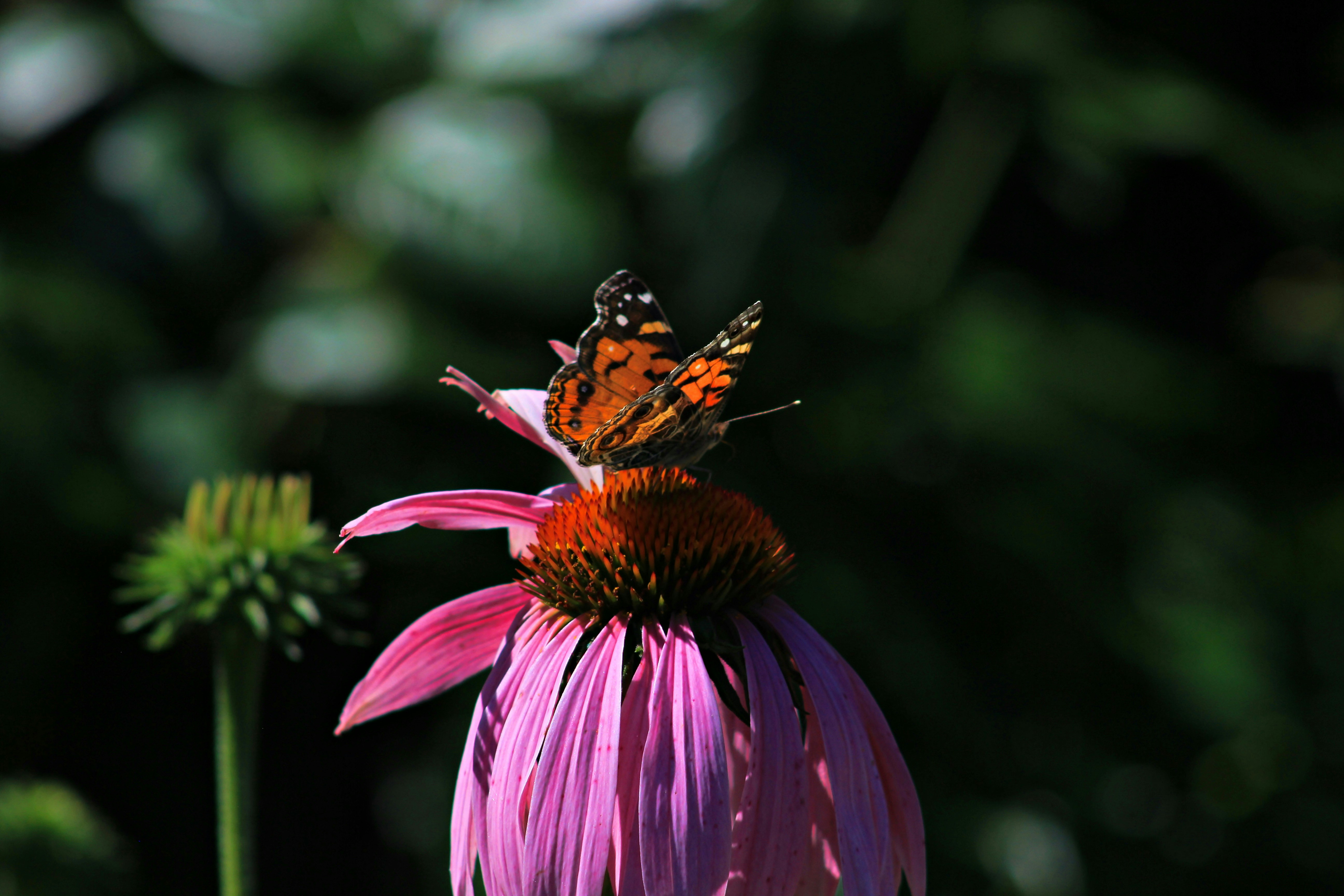 Photo by viewsofthecamera