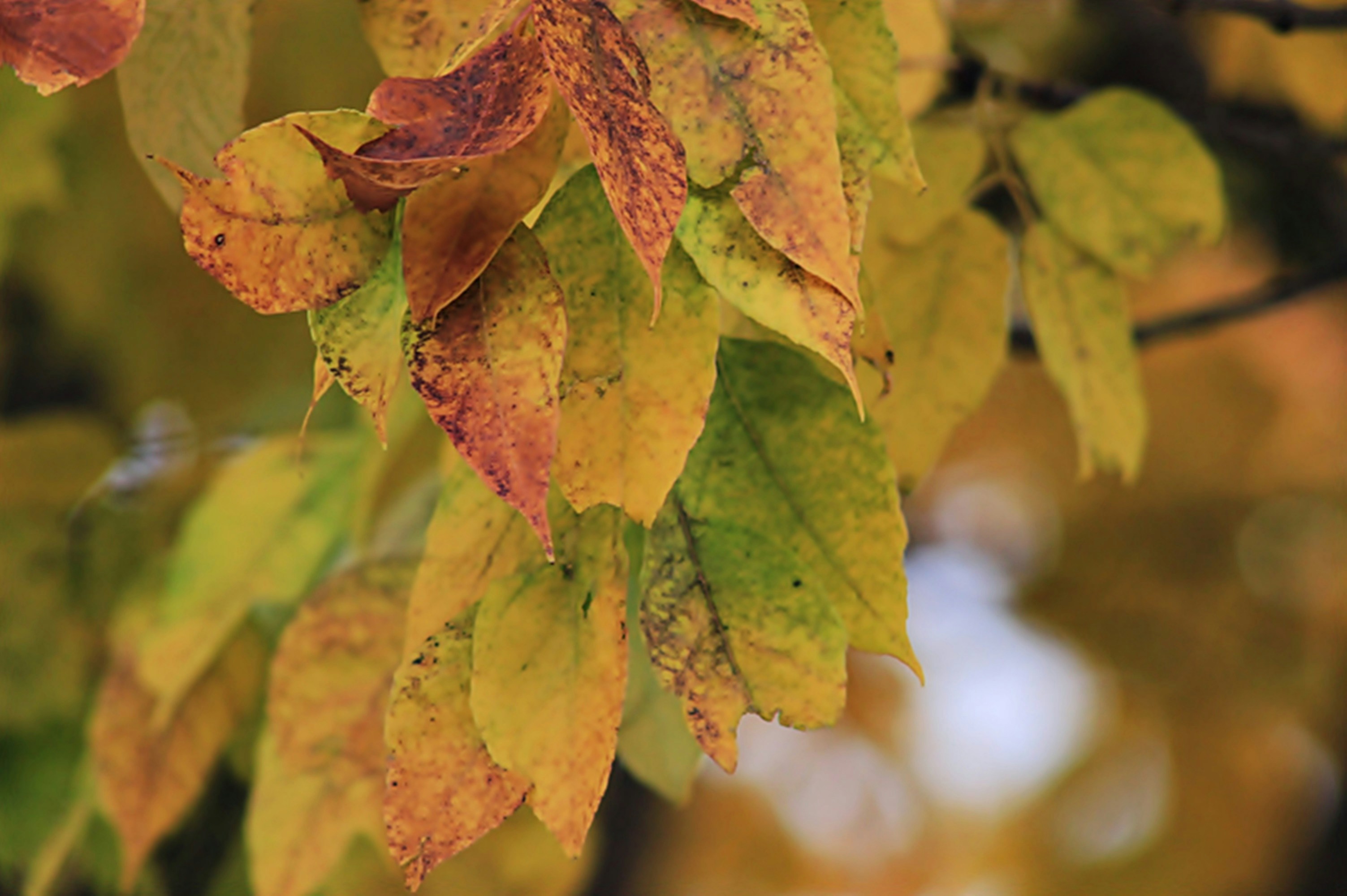 Photo by viewsofthecamera