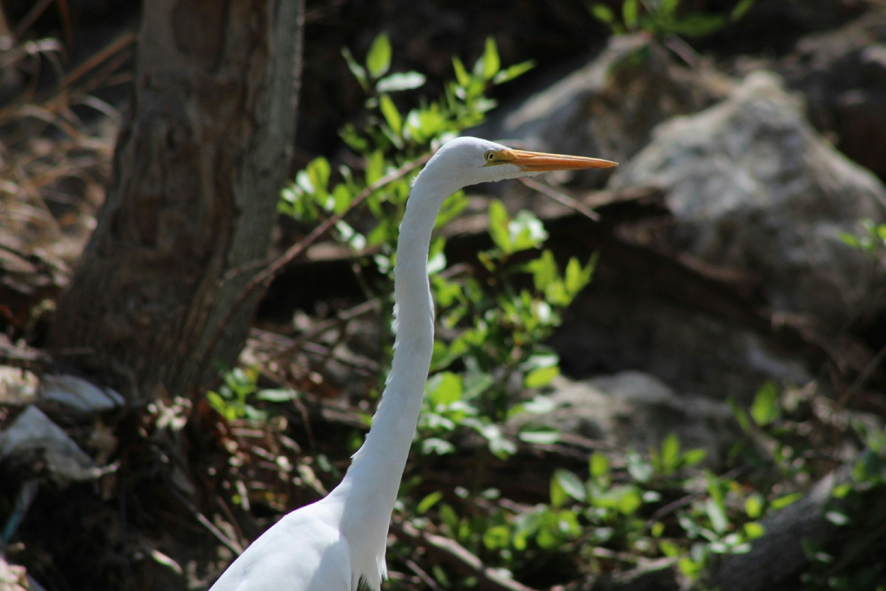 Photo by viewsofthecamera