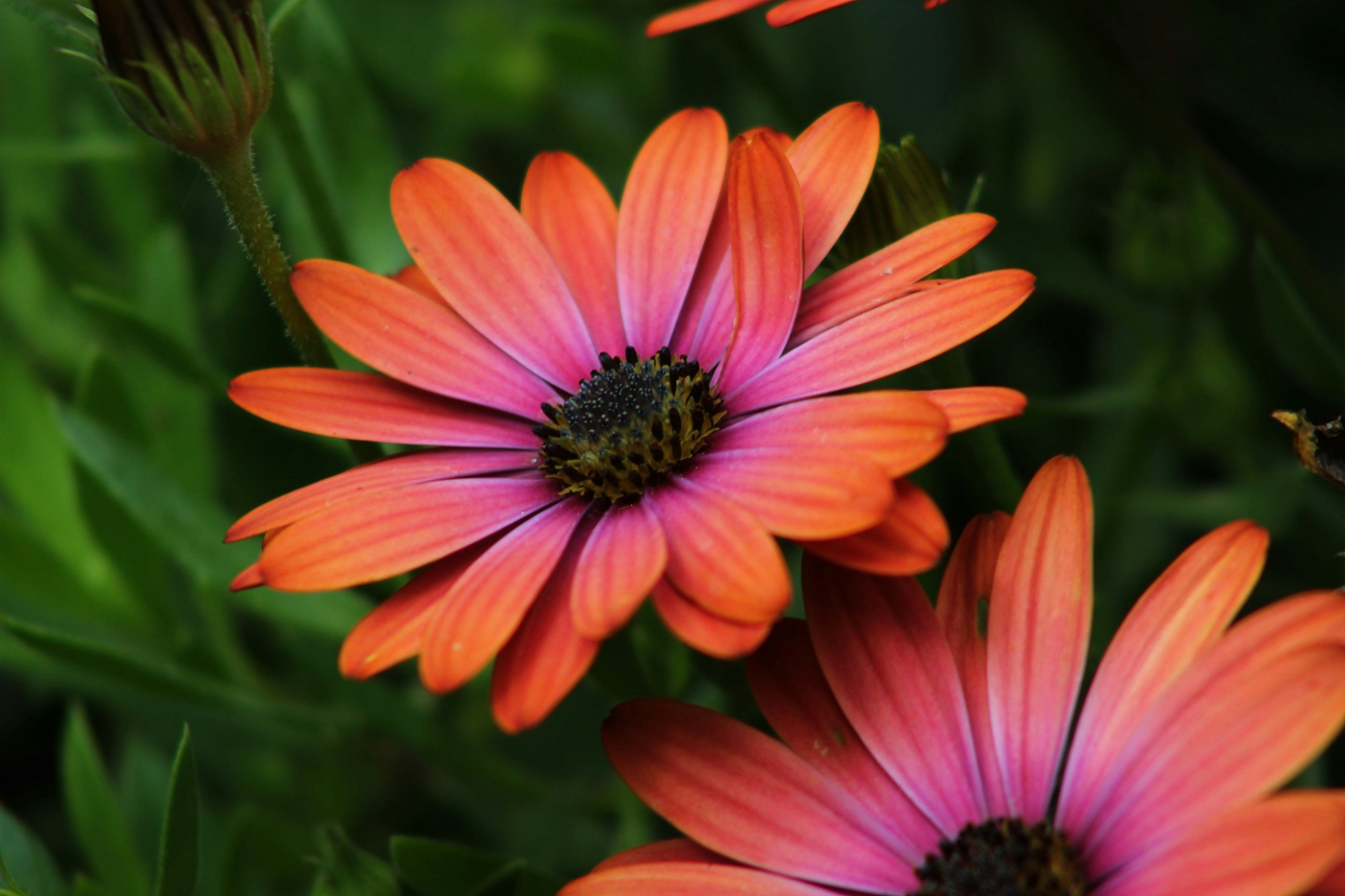 Photo by viewsofthecamera