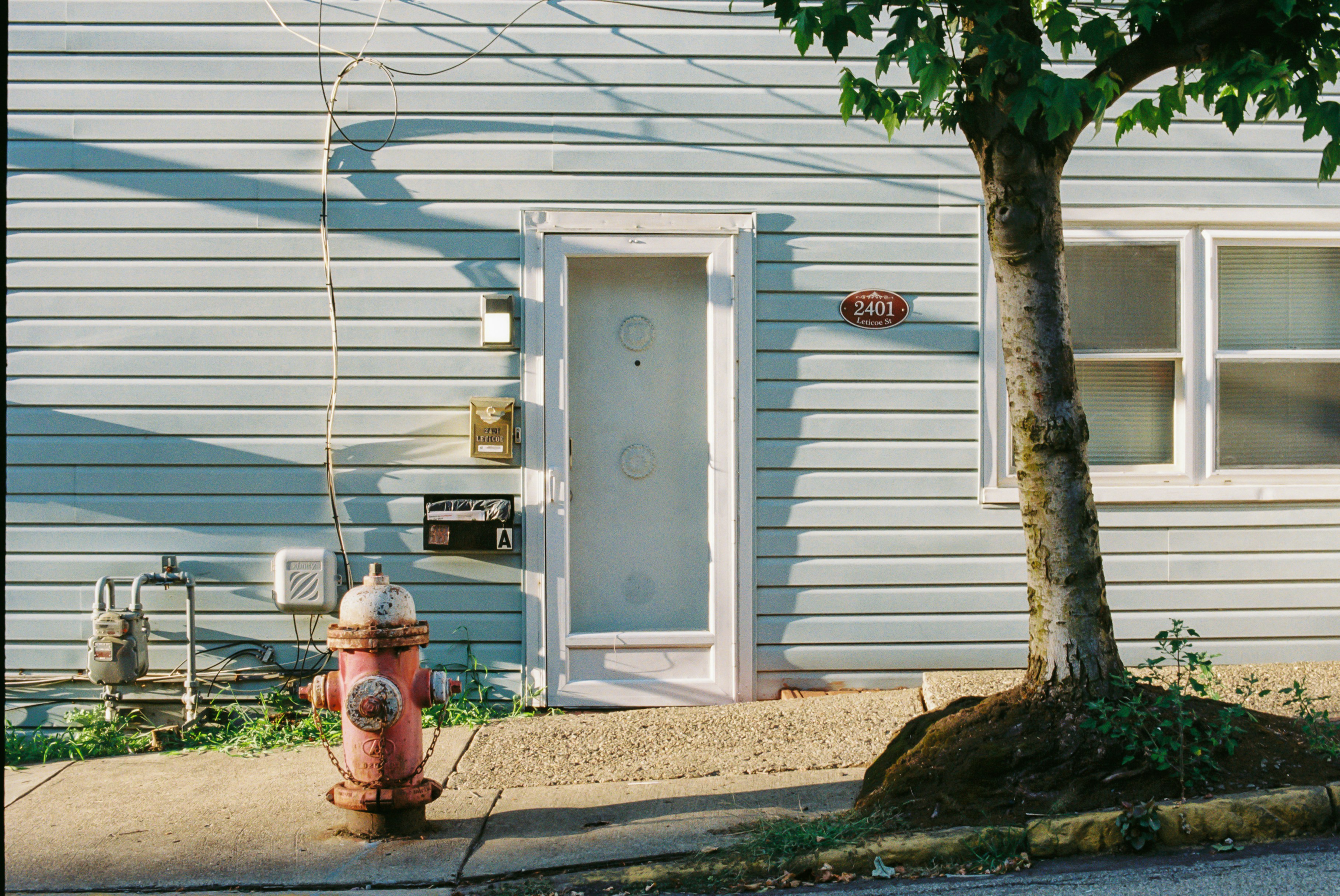 Photo by zhenyao_photo