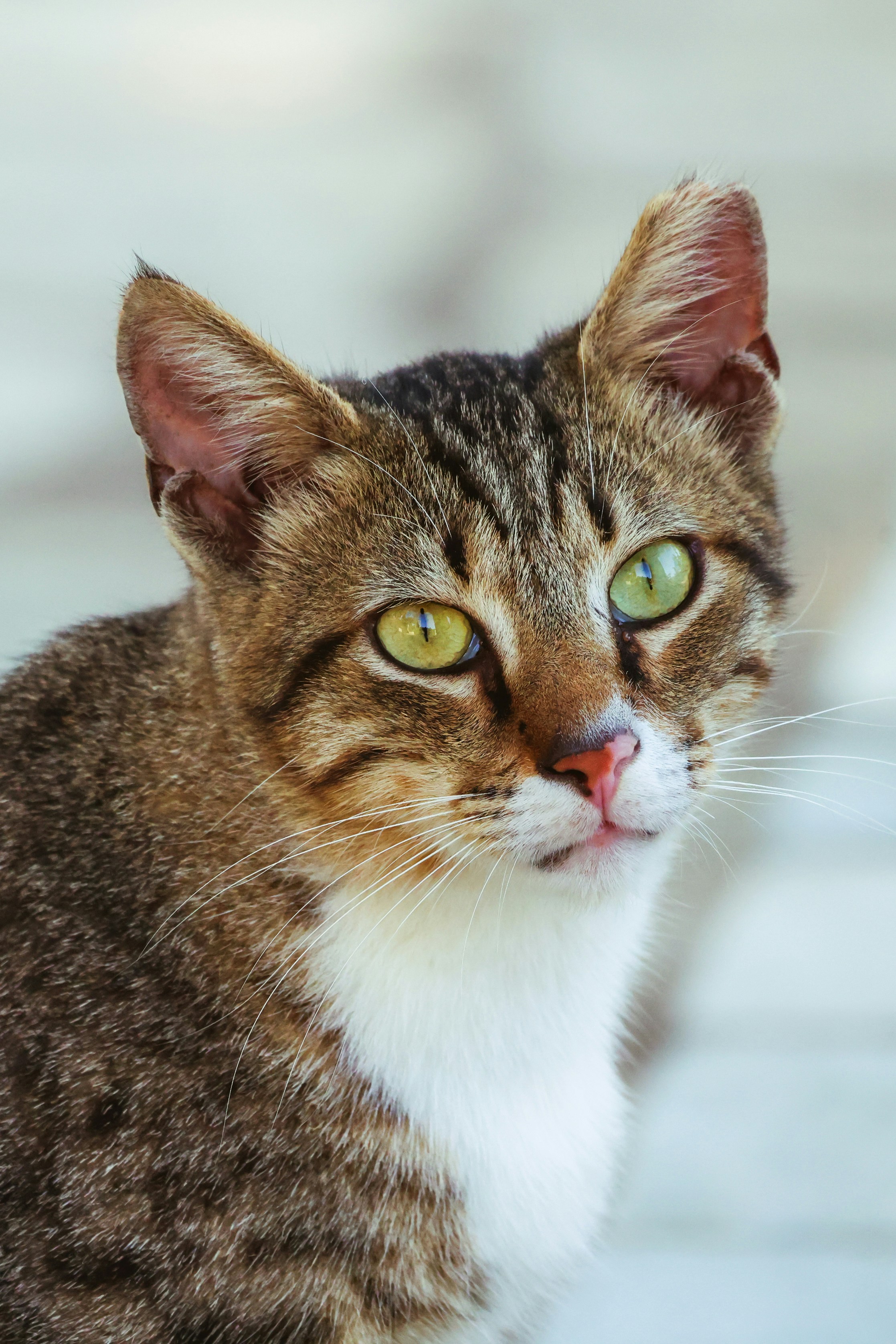 Photo by nickkarvounis