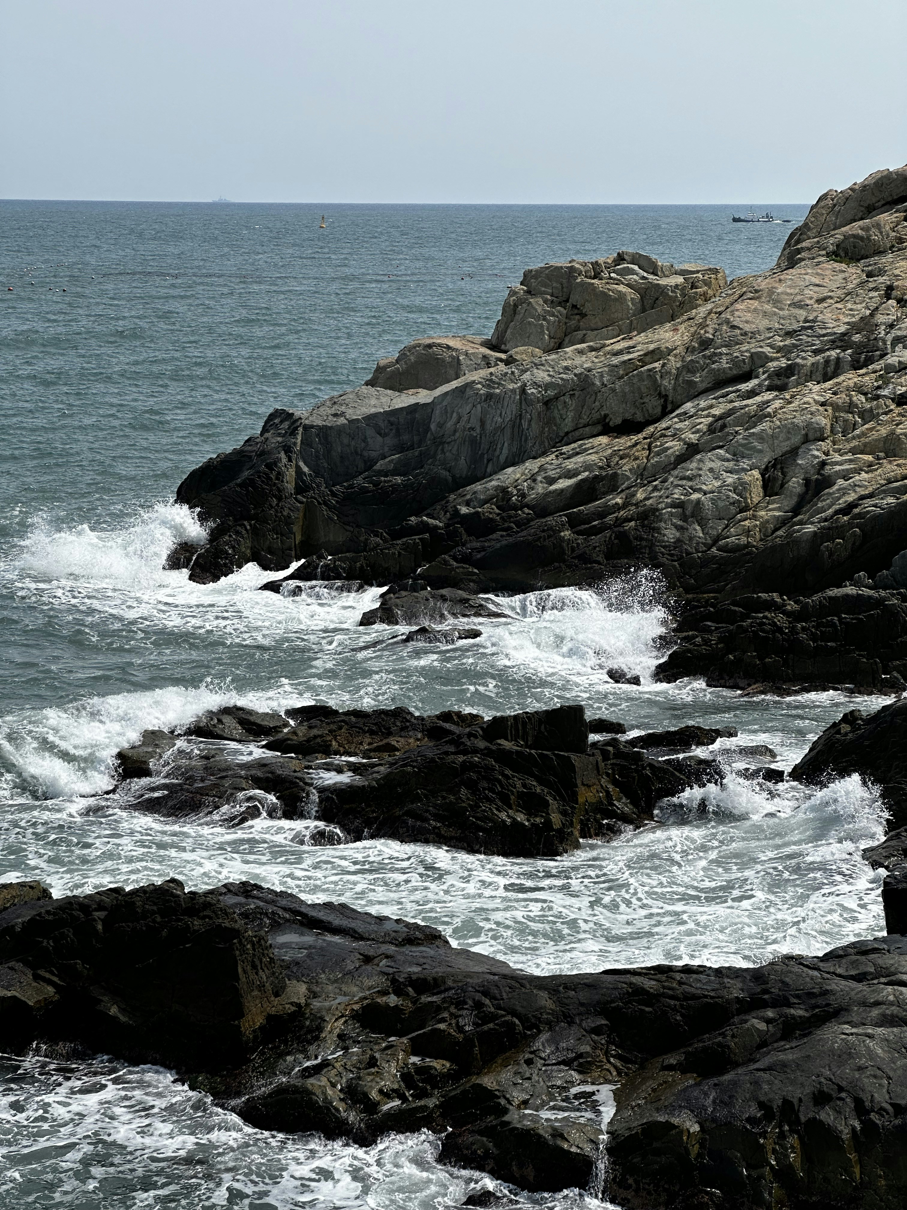 Photo by artemisss666