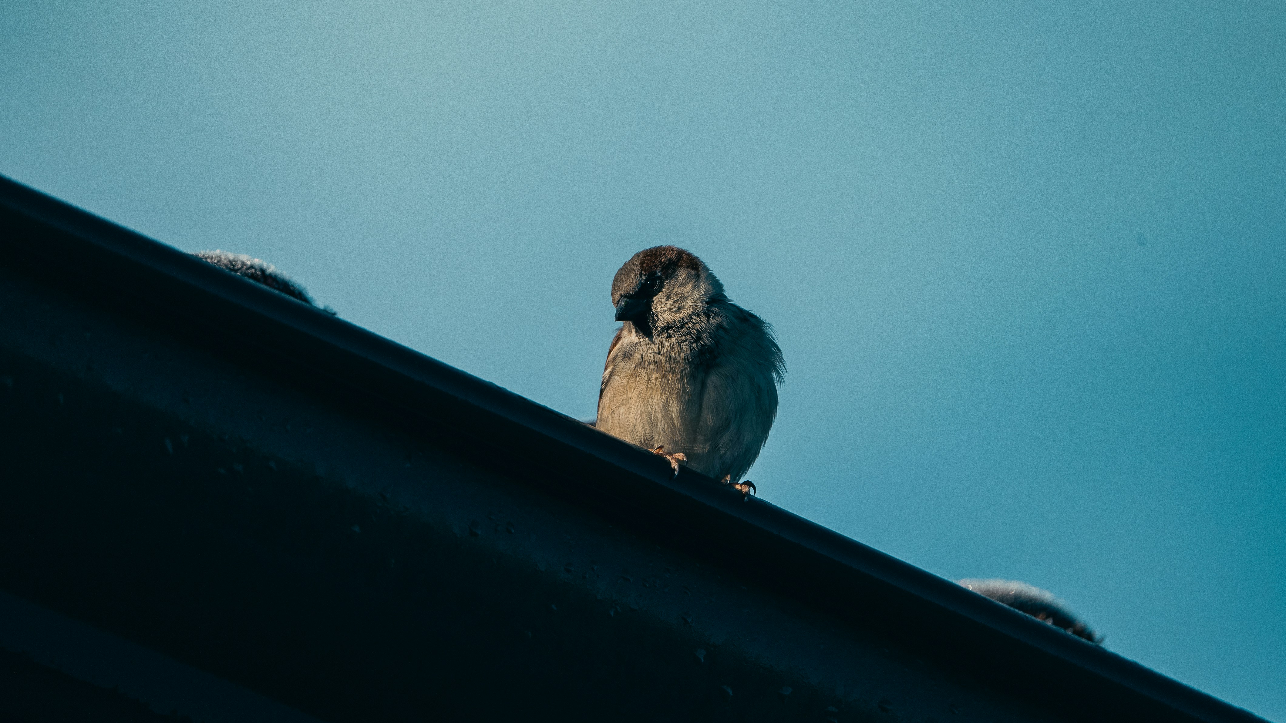 Photo by patrick_von_der_wehd