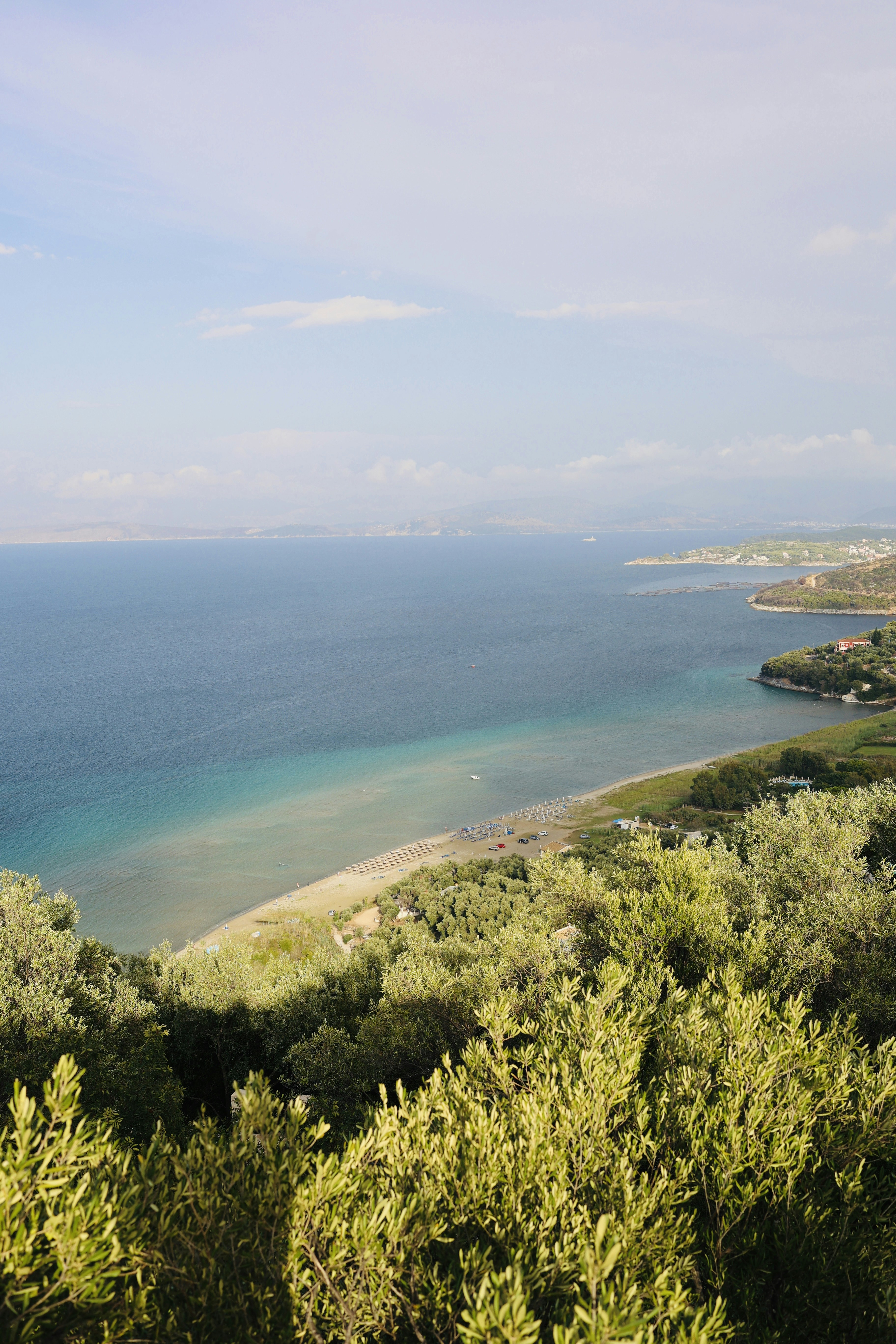 Photo by jordantorrilla