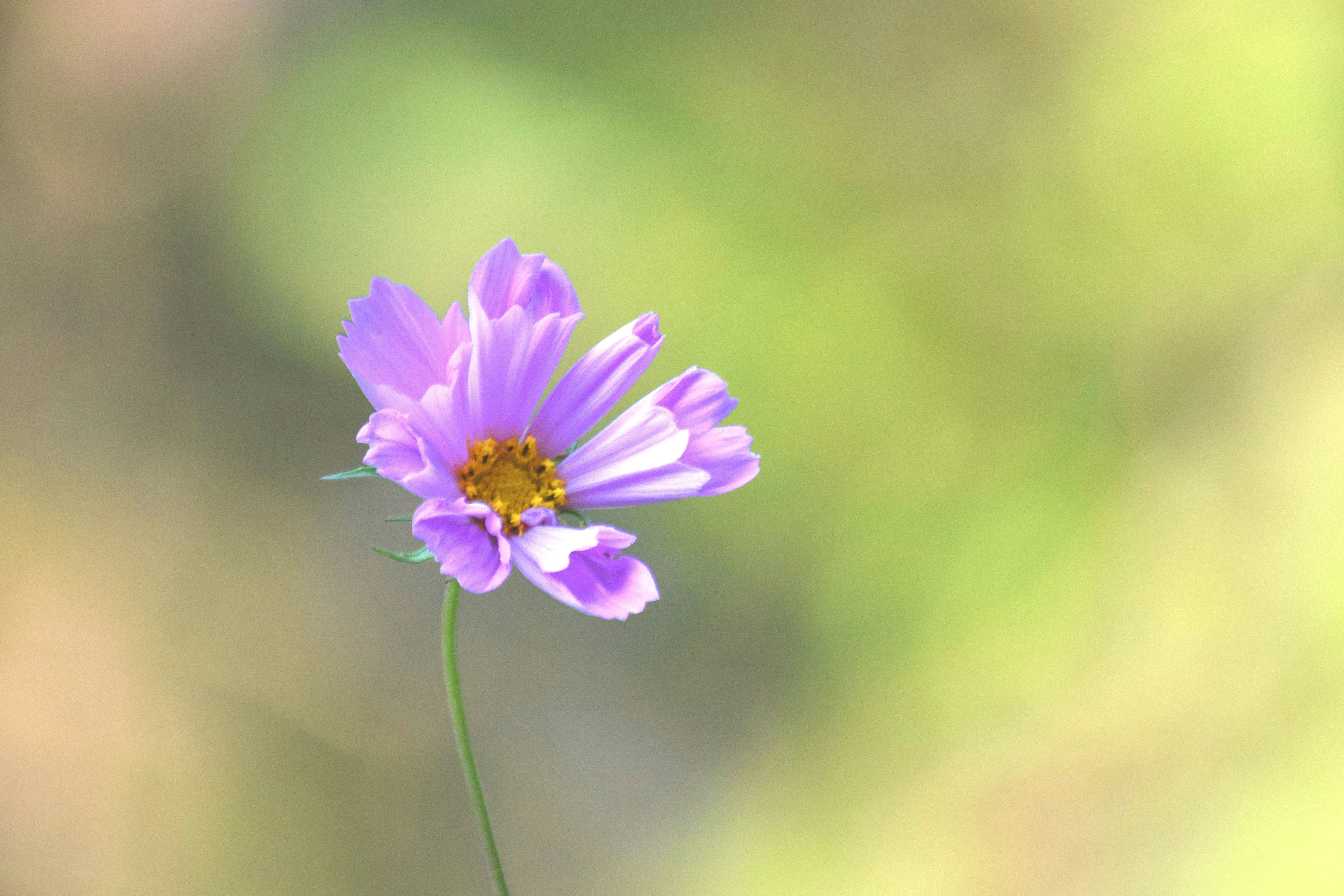 Photo by fr0ggy5_fr0ggy5