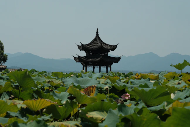 6-Day Luxury Hangzhou Itinerary: The Best of West Lake