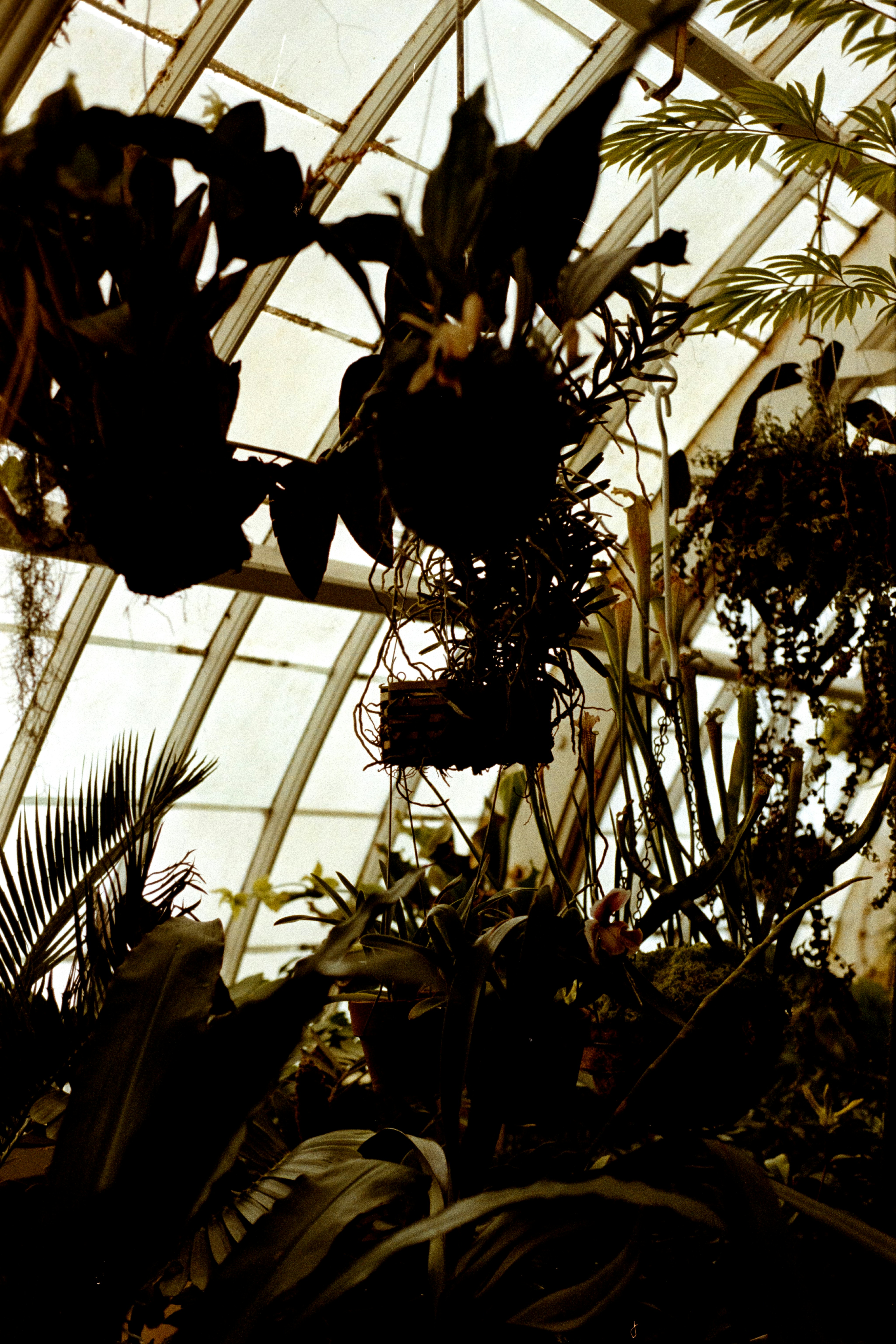 Photo by sashamatveeva