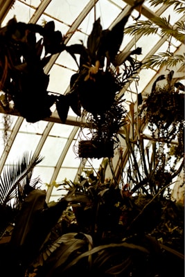 Nursery Khatulistiwa