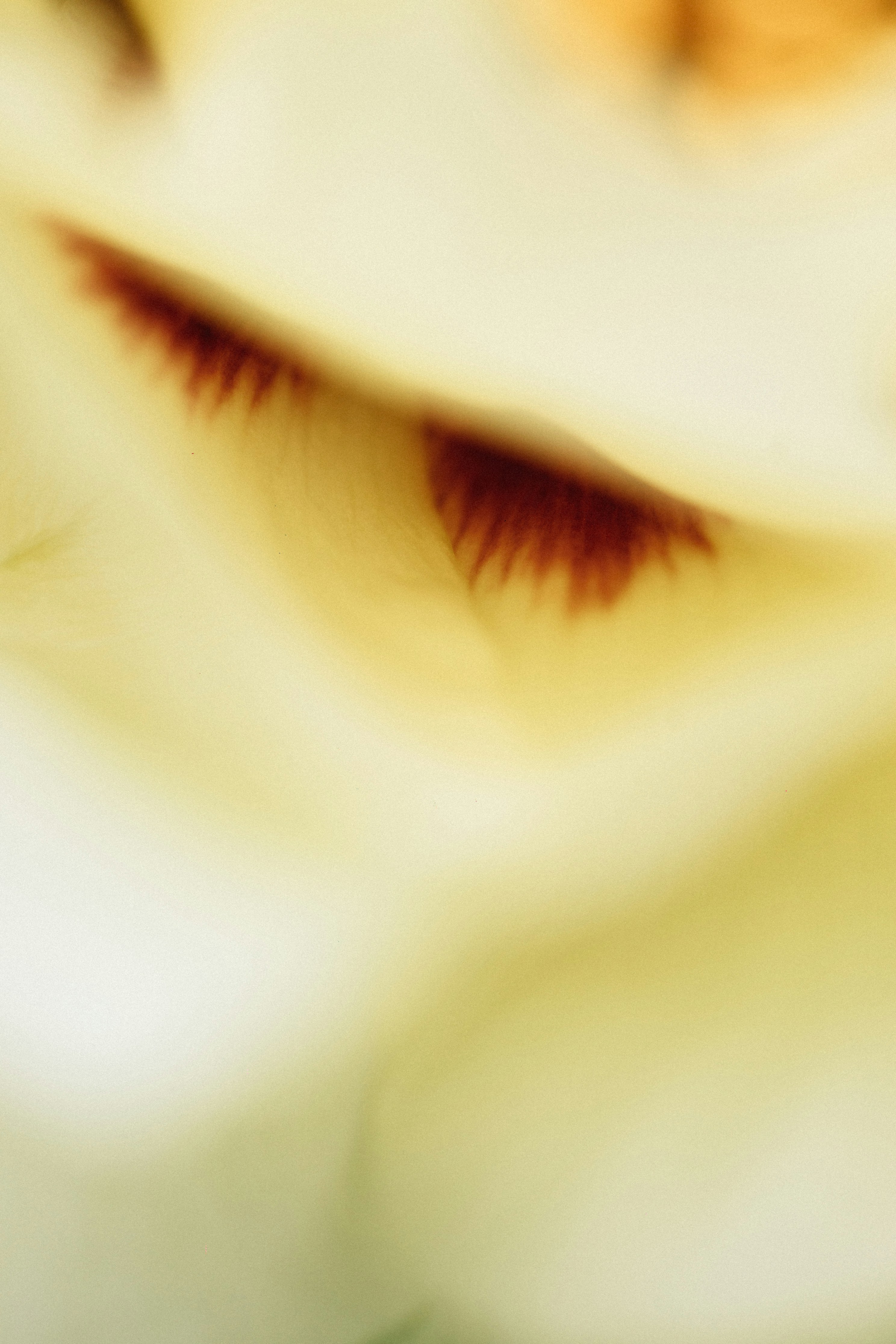 목포 아이랑 갈만한곳 관련 이미지2