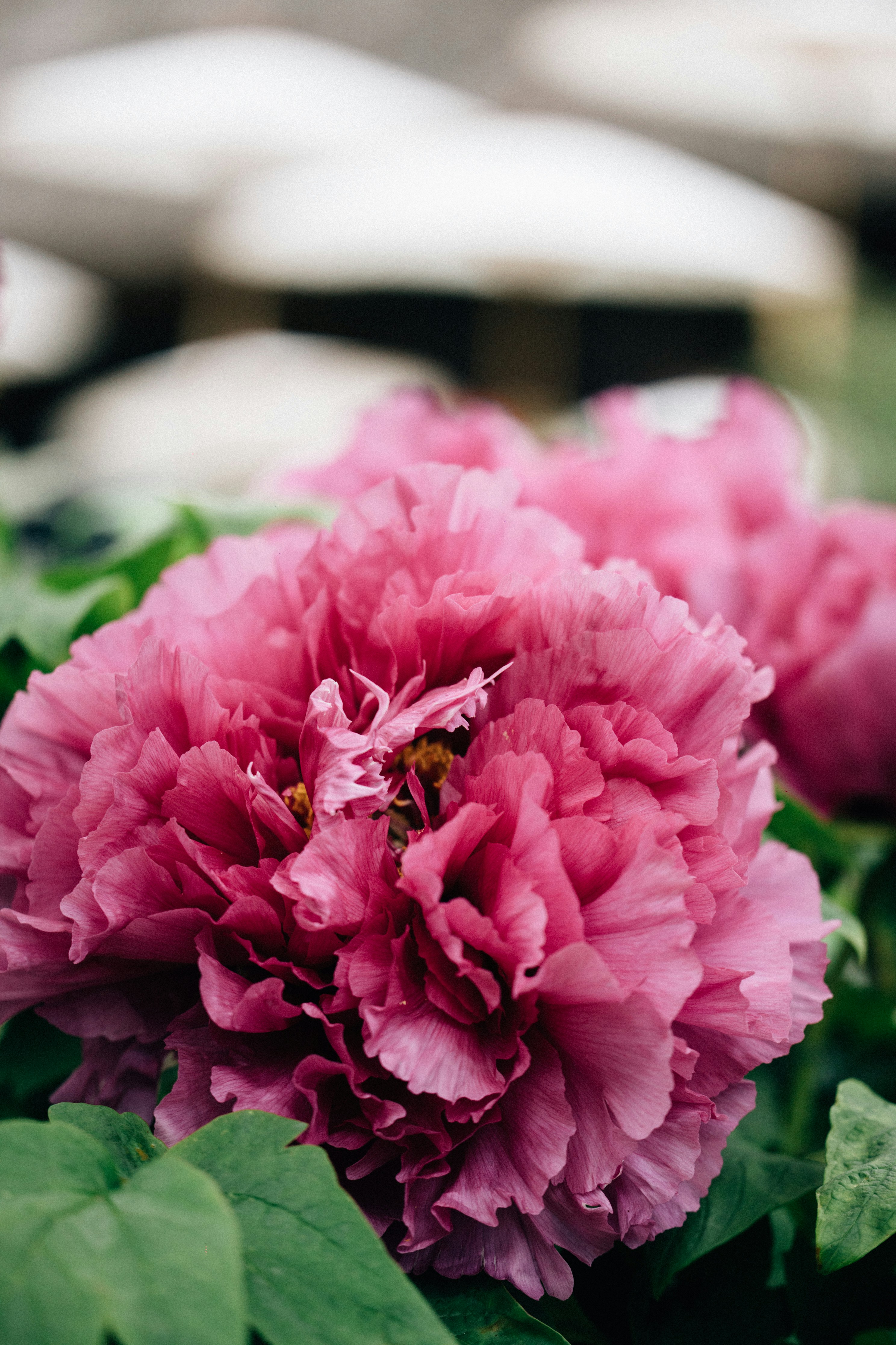 Photo by tsuyoshikozu