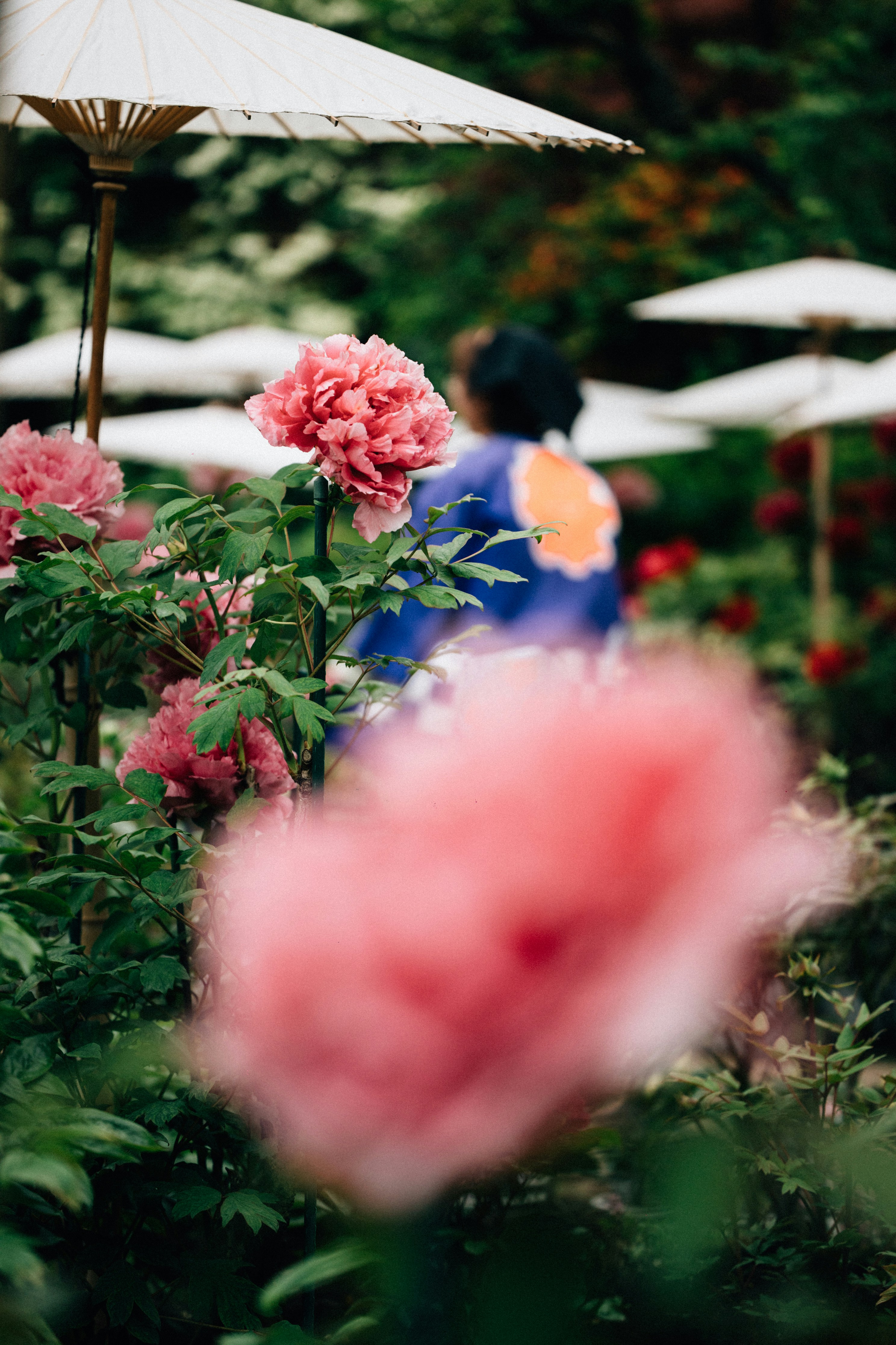 Photo by tsuyoshikozu