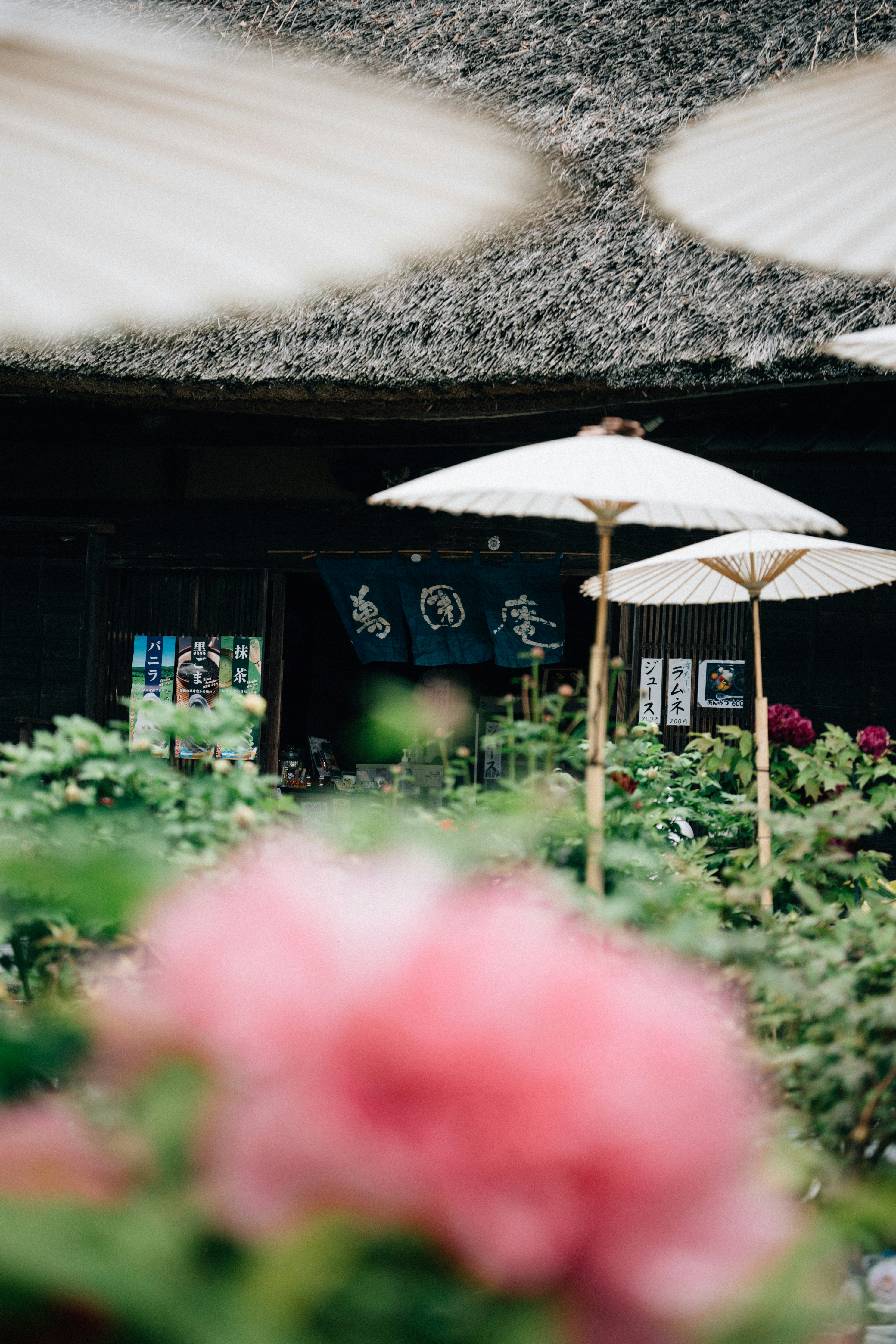 Photo by tsuyoshikozu