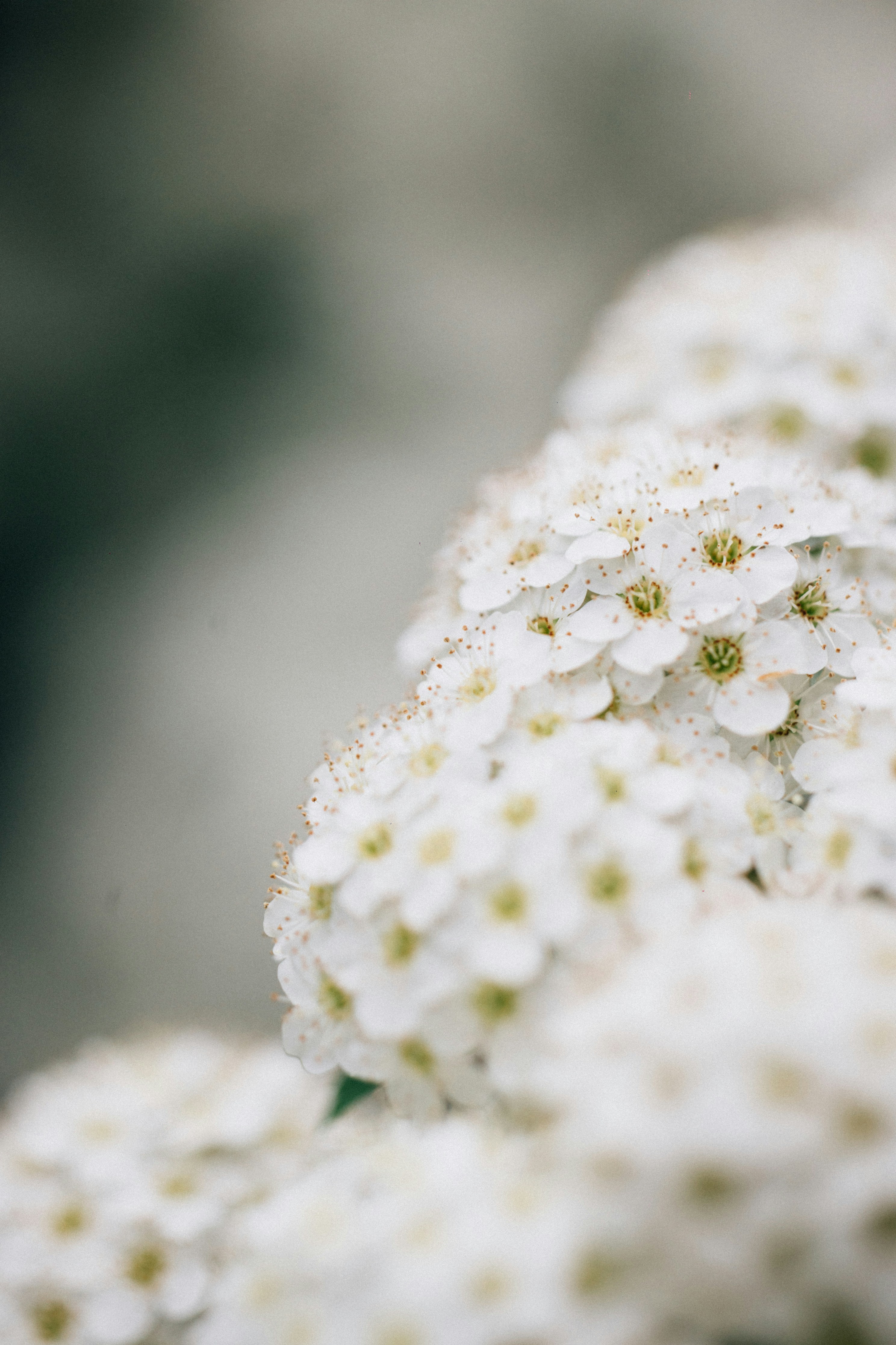 Photo by tsuyoshikozu