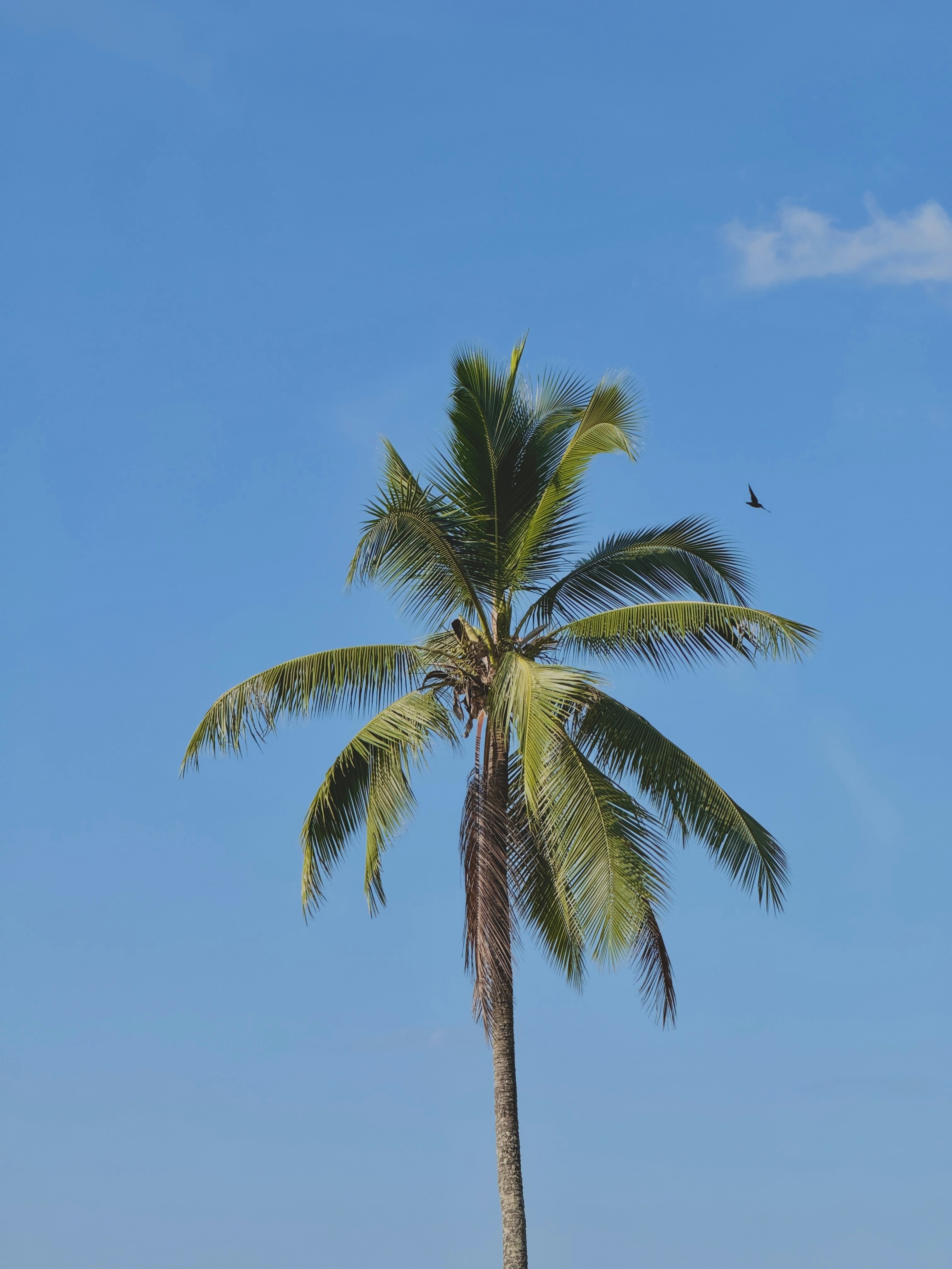 Photo by ariffinalee