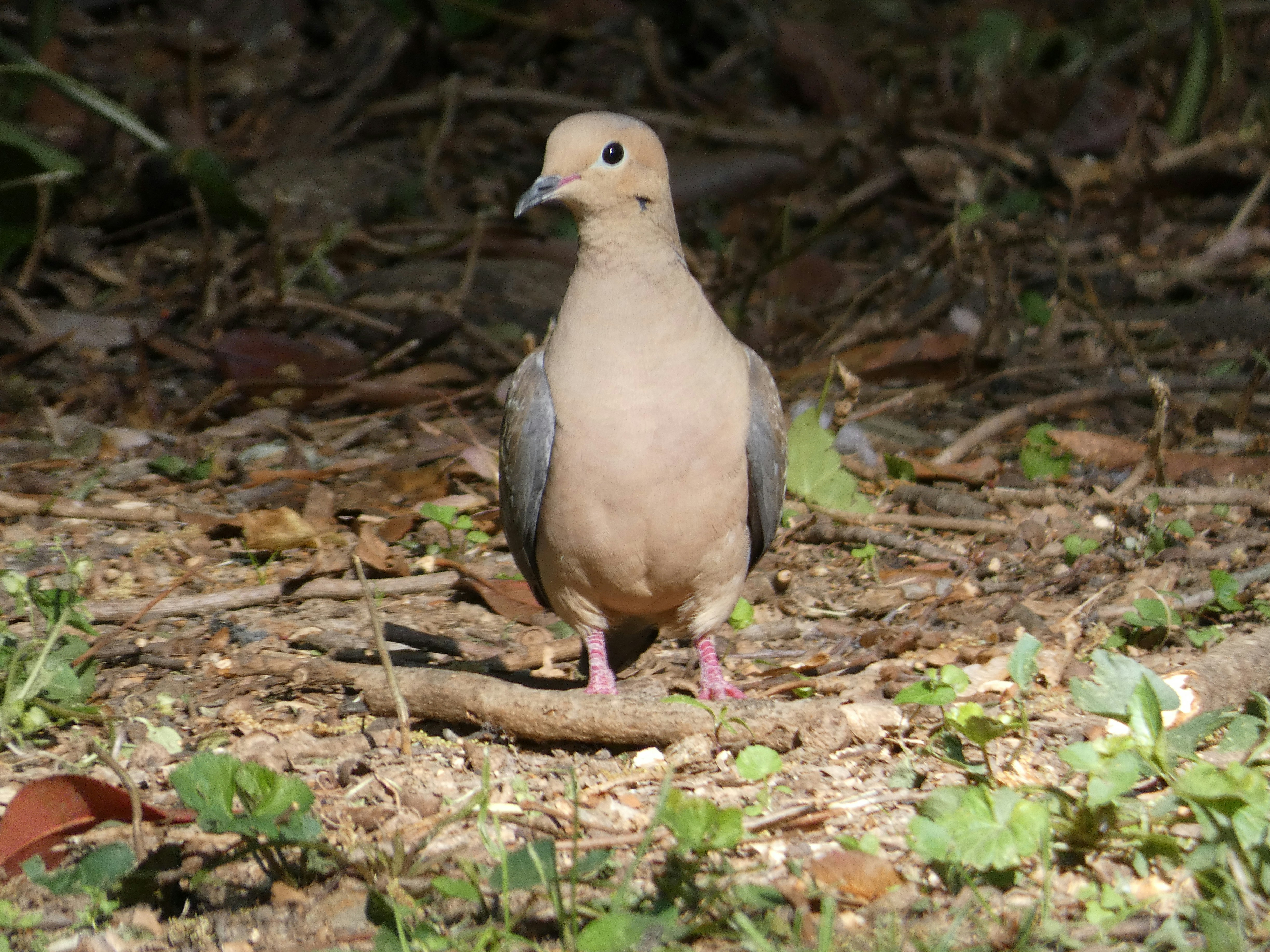 Photo by arkansas007