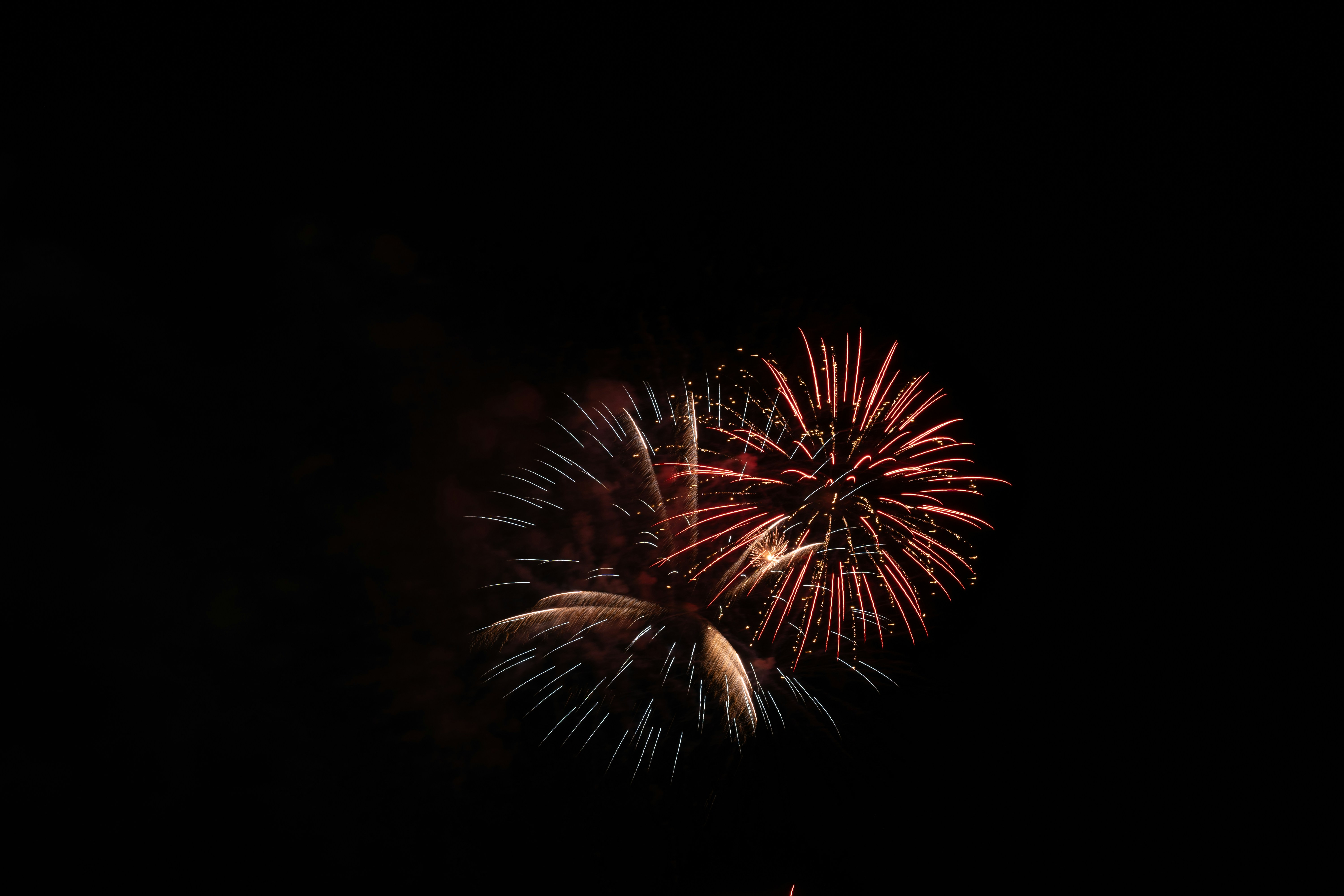 Fireworks are lit up in the night sky