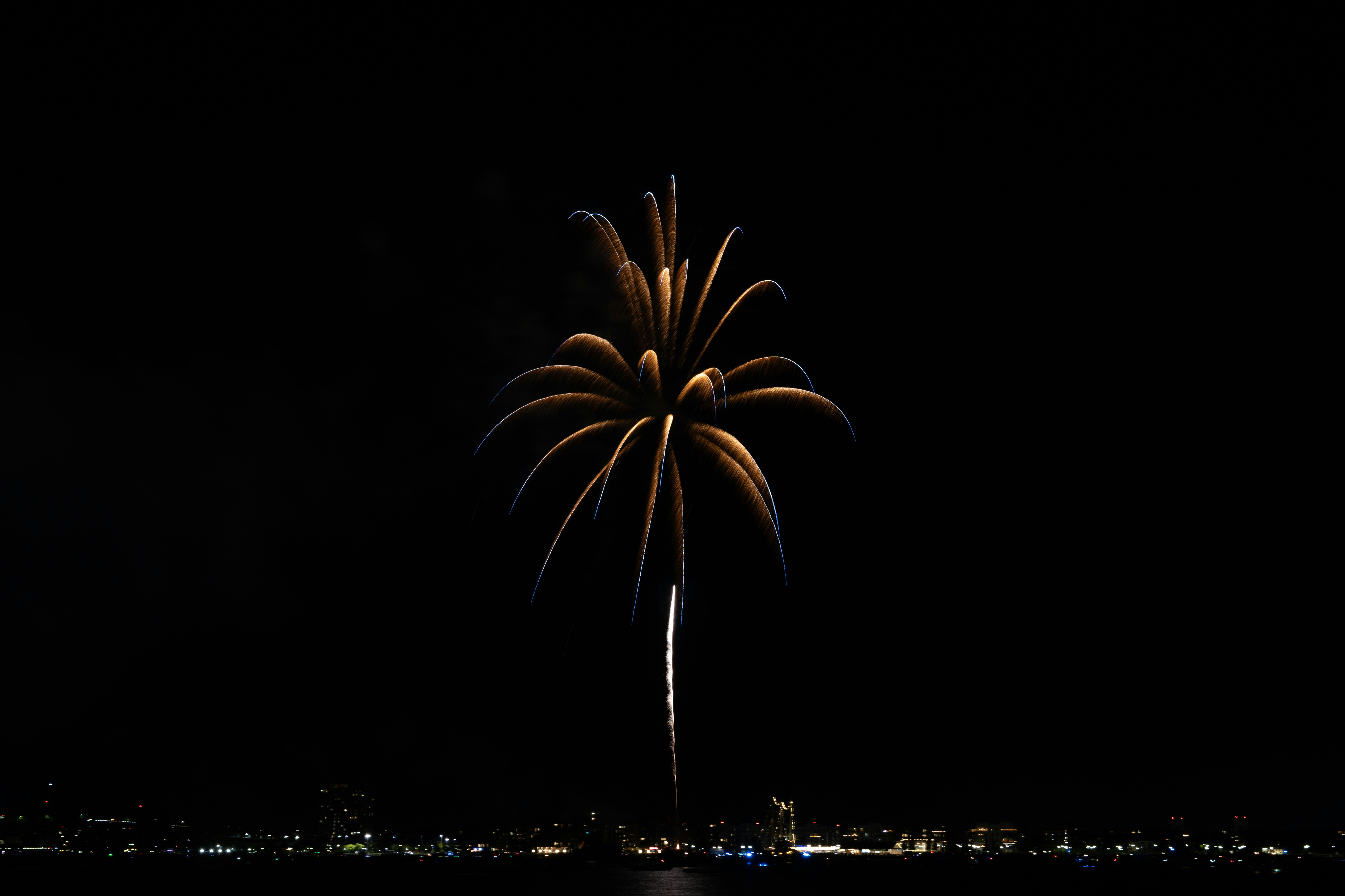 A fireworks is lit up in the night sky