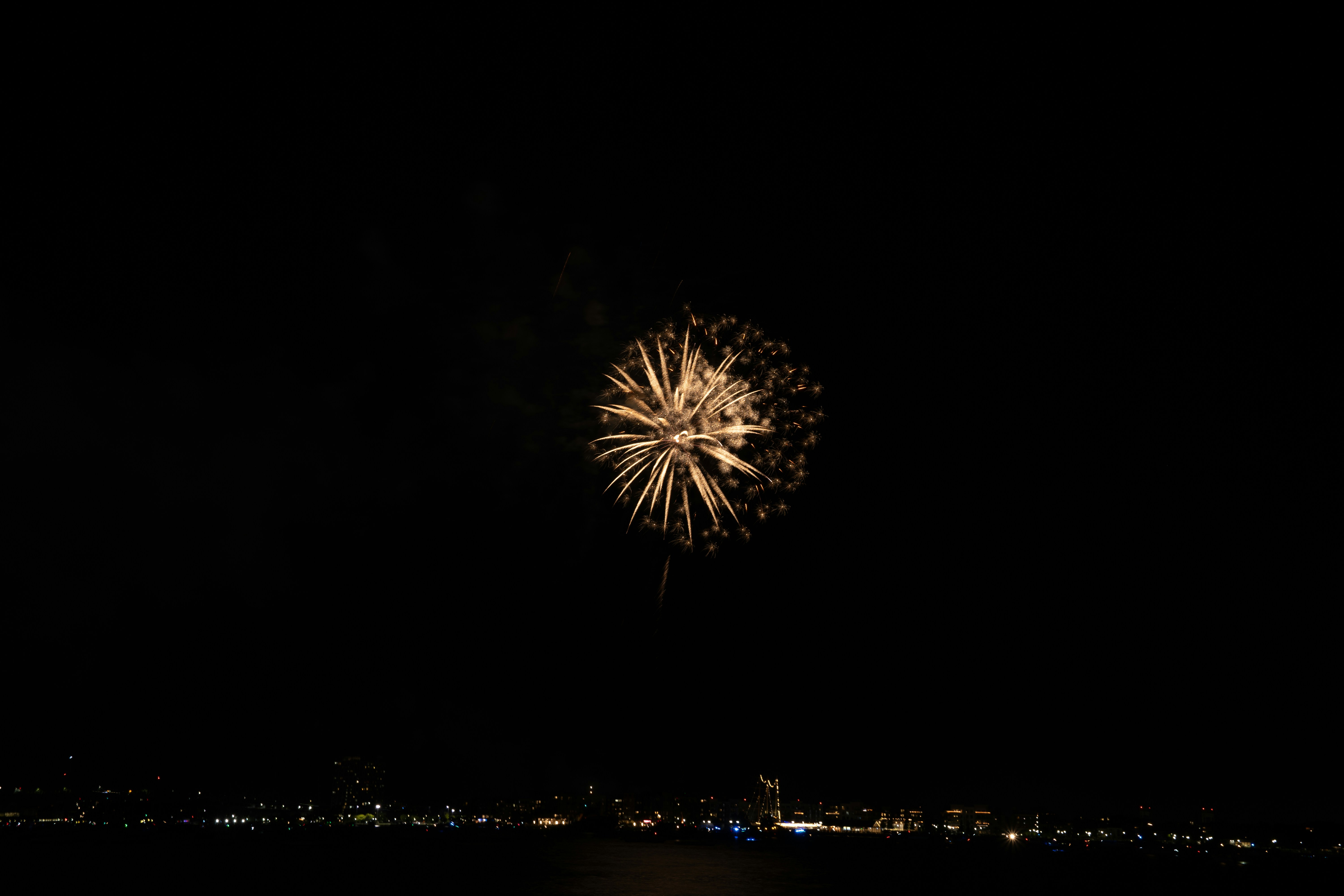 A fireworks is lit up in the night sky