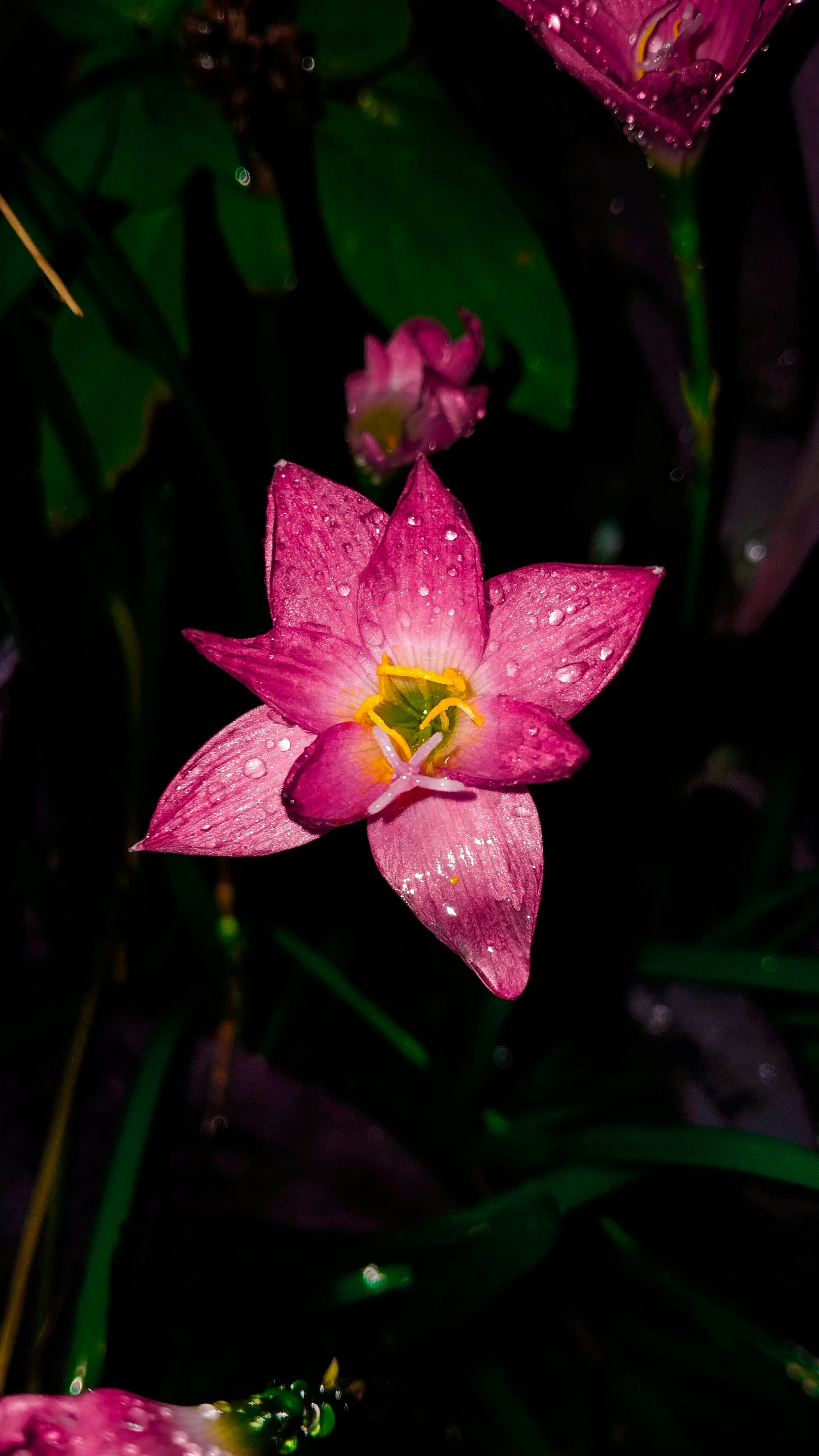 Photo by divyanshuoraj