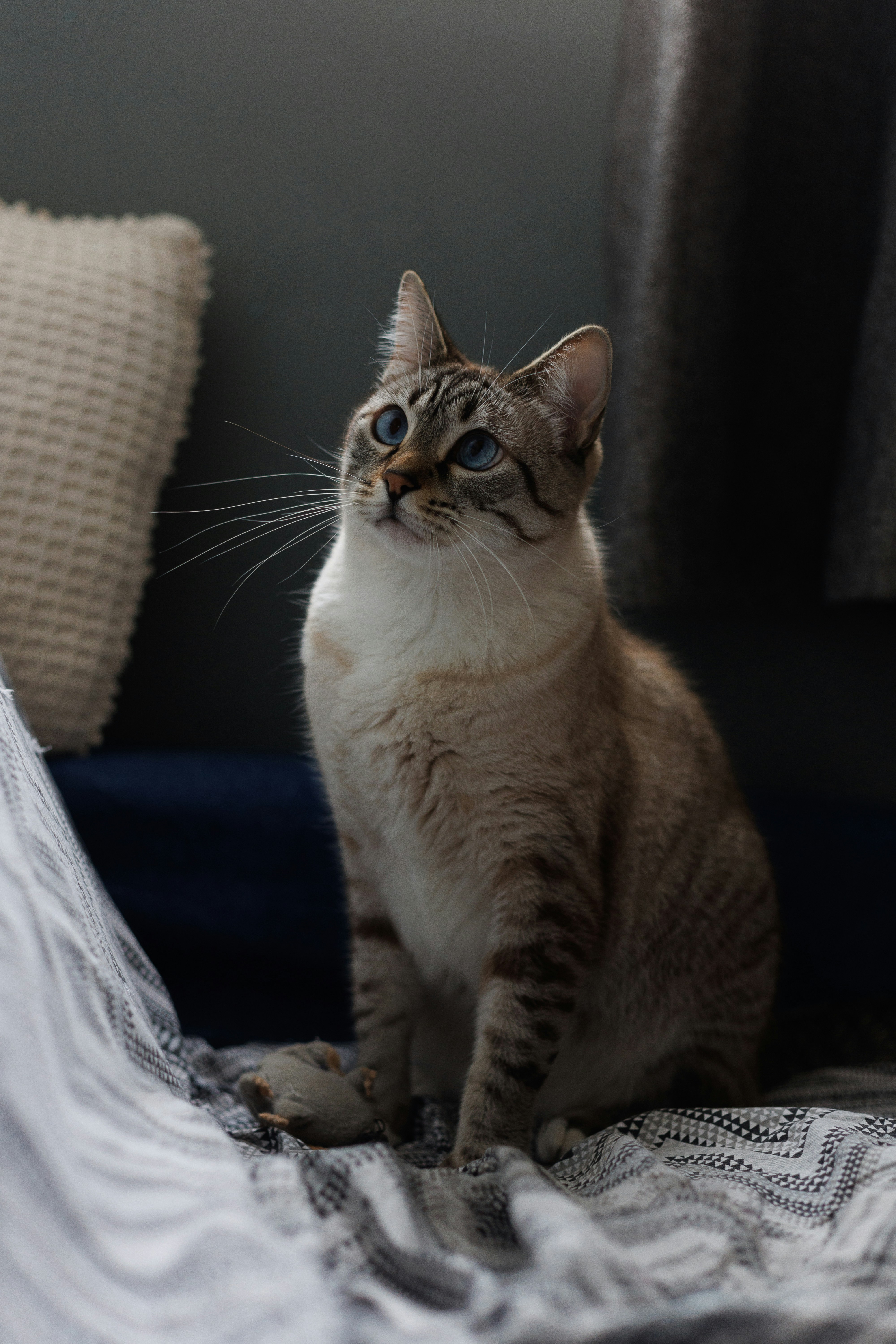 Photo by lucasdalamartaphoto