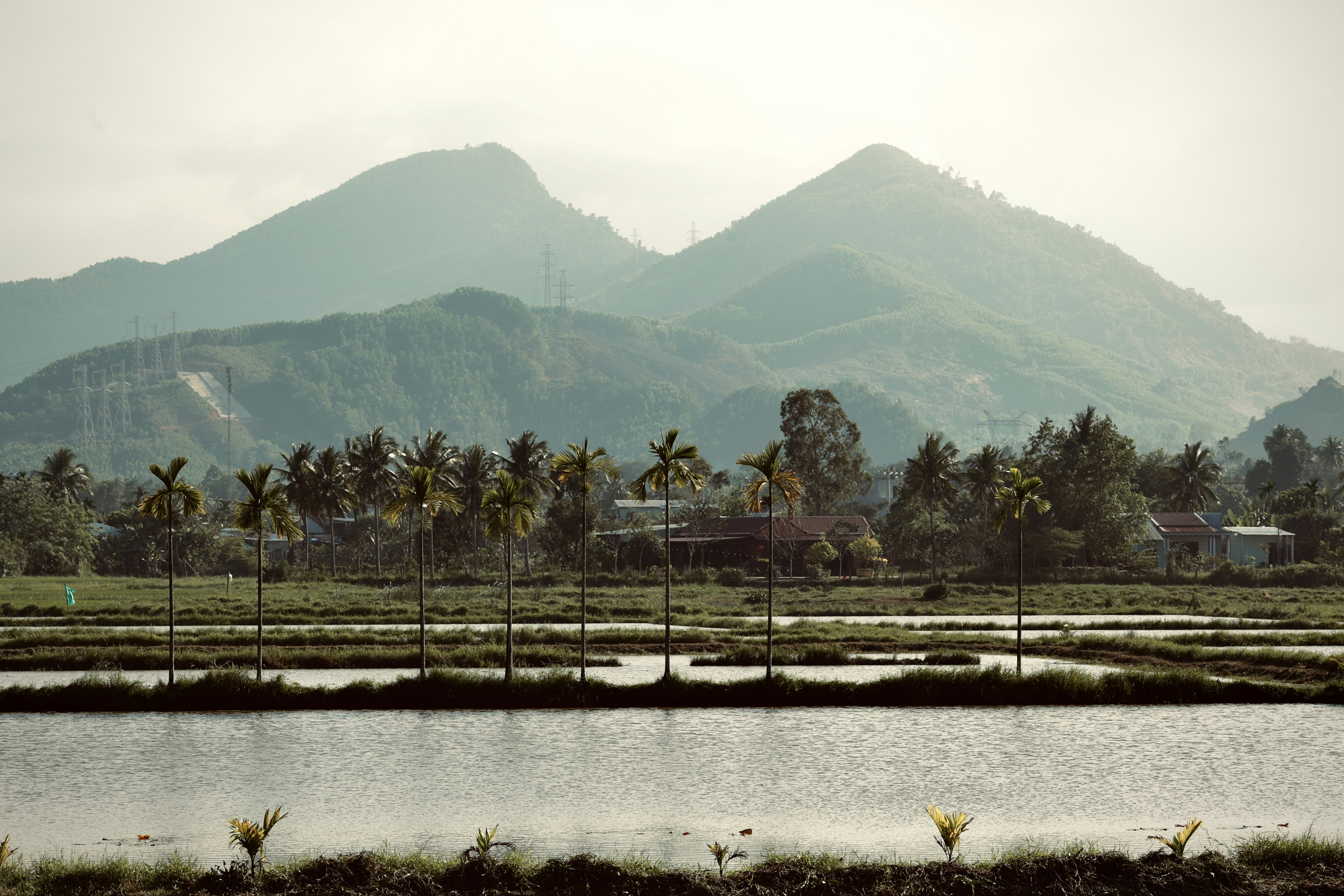 Photo by chankhang04