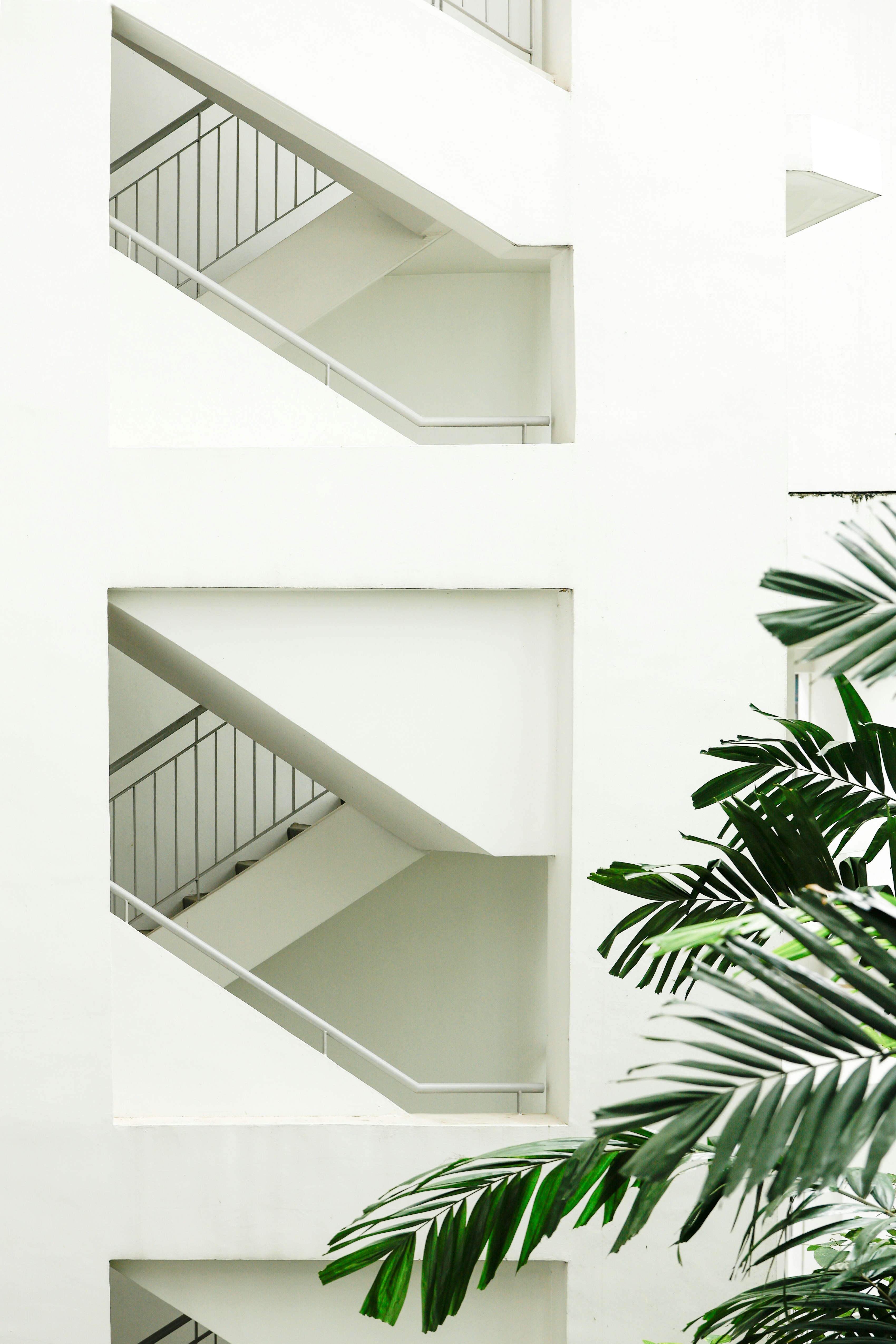 A white building with a plant in front of it