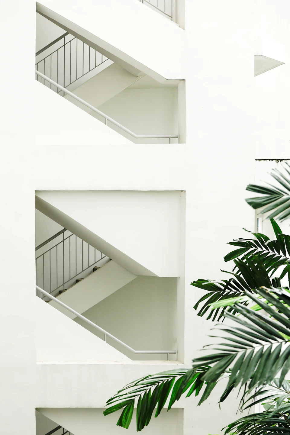Fachada de un edificio de viviendas blanco con una planta en la entrada