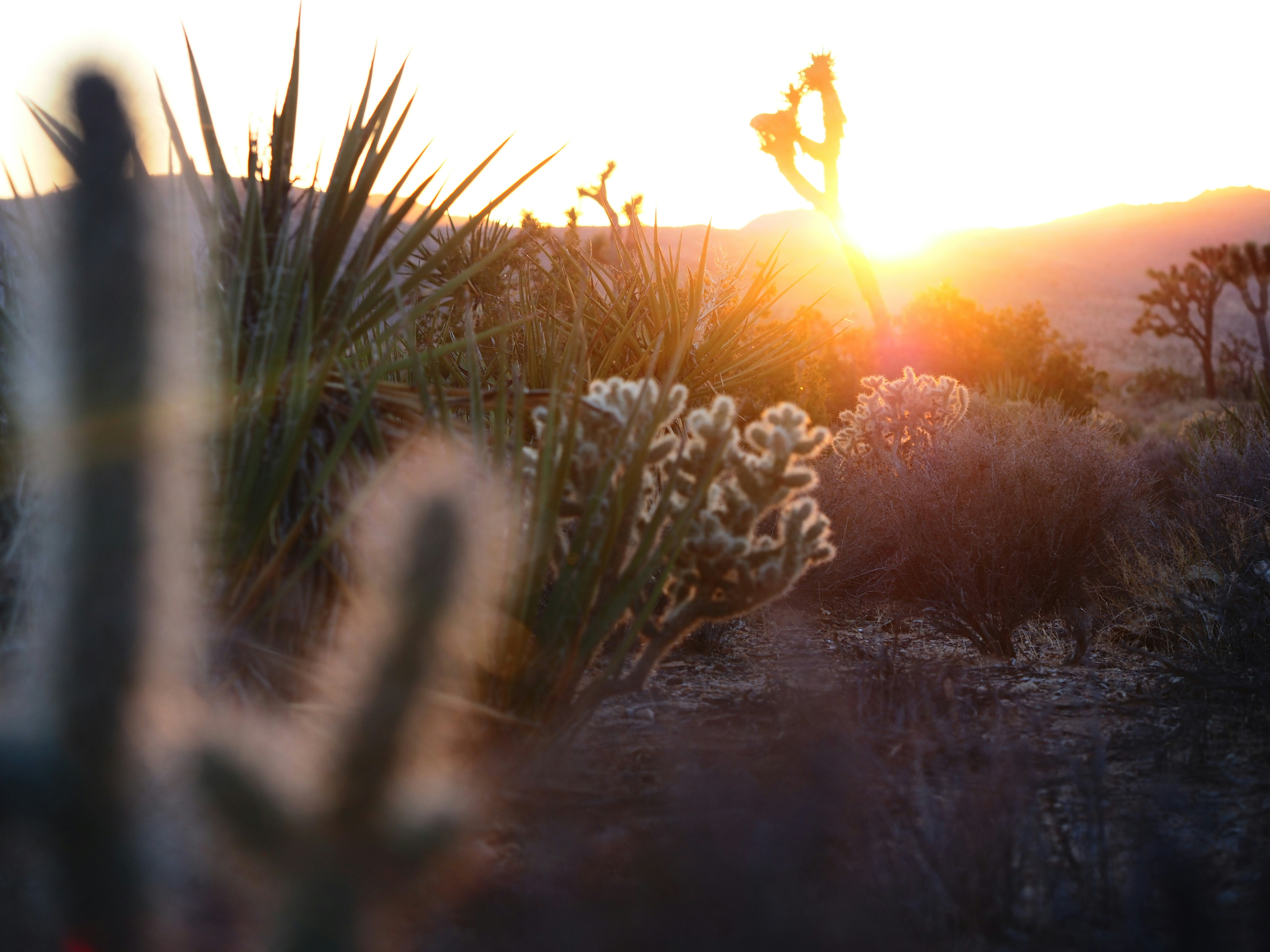 Photo by bethdabeast