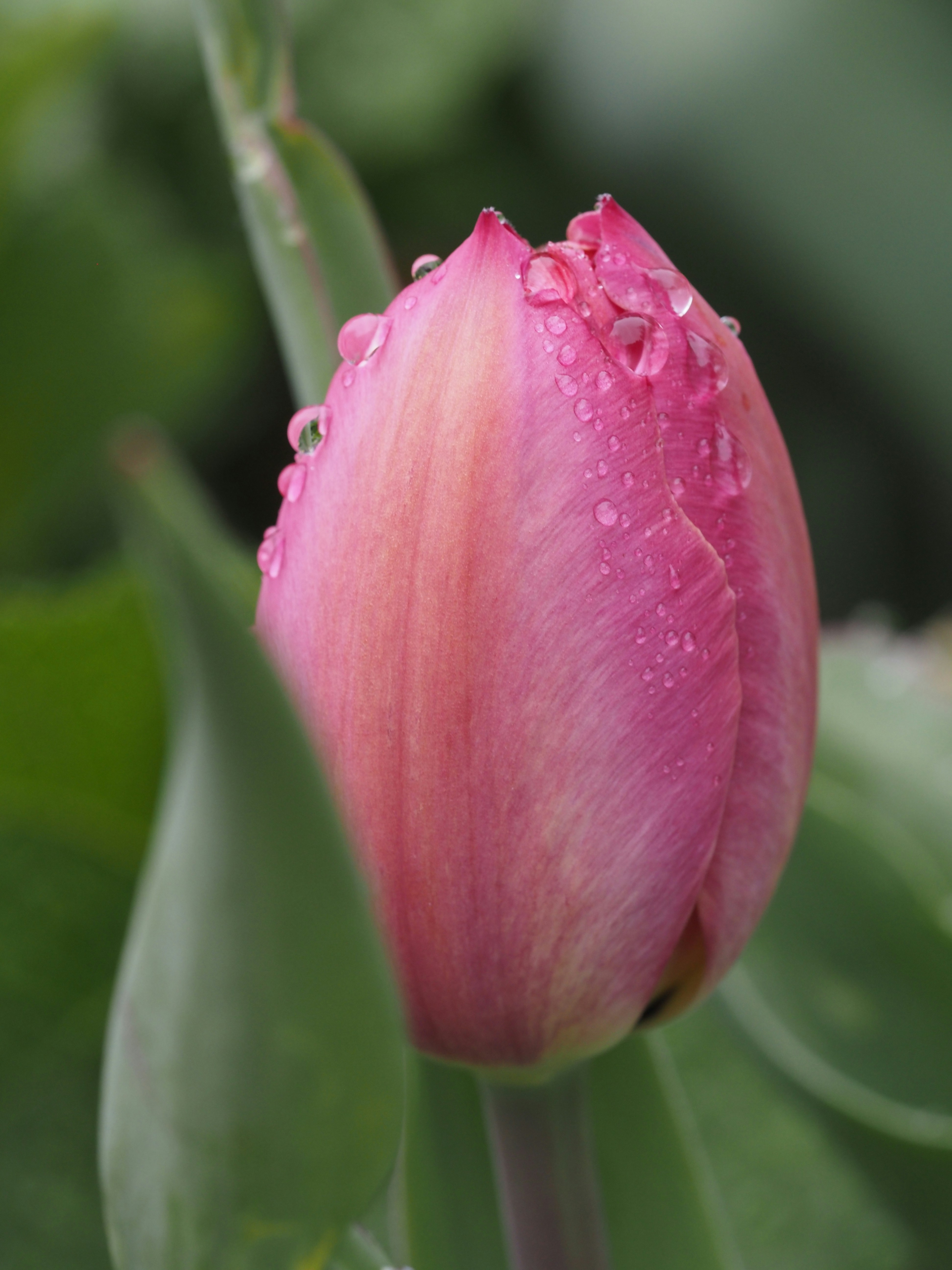 Photo by bethdabeast