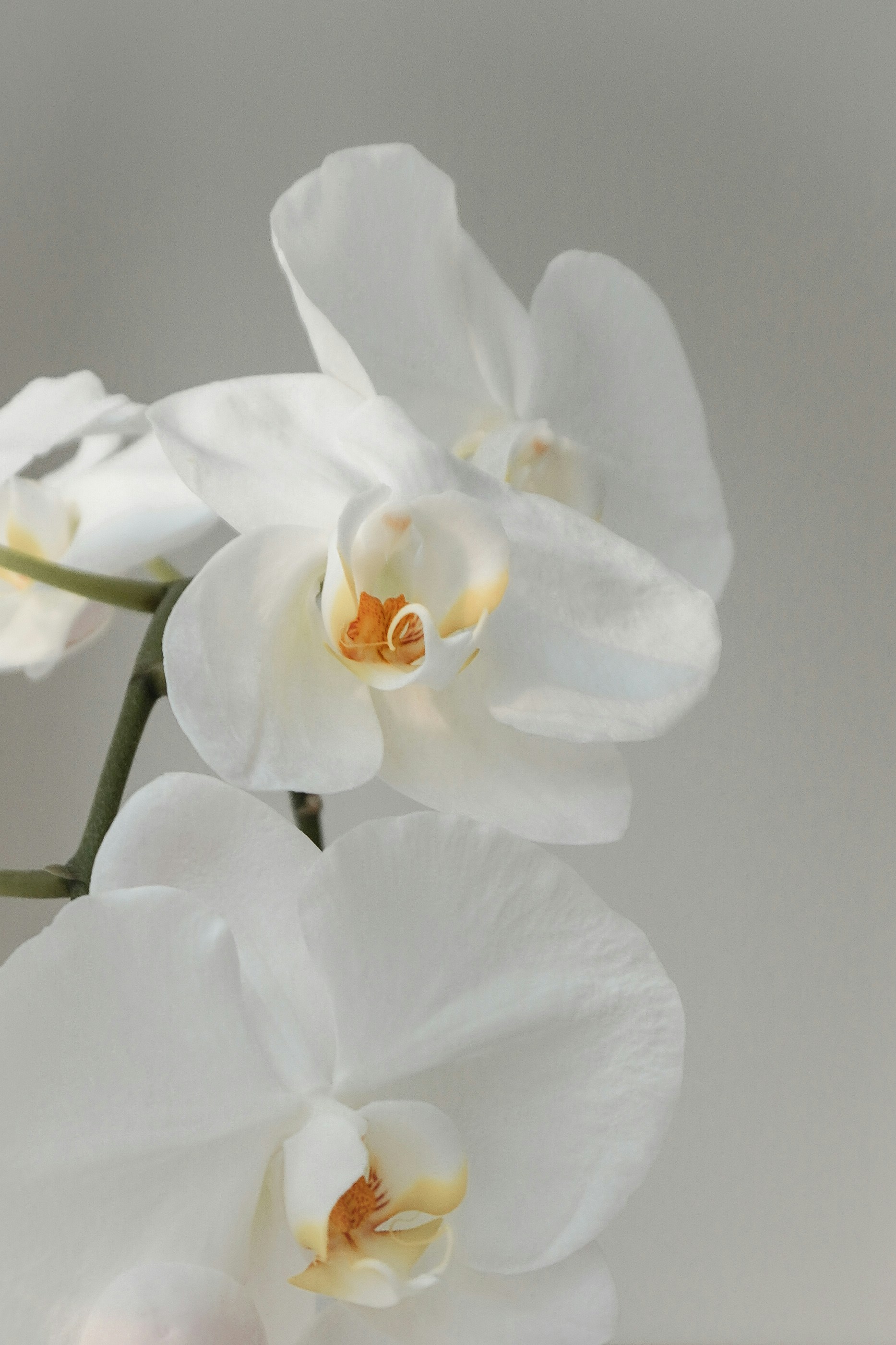 Photo by eyesthetiquee