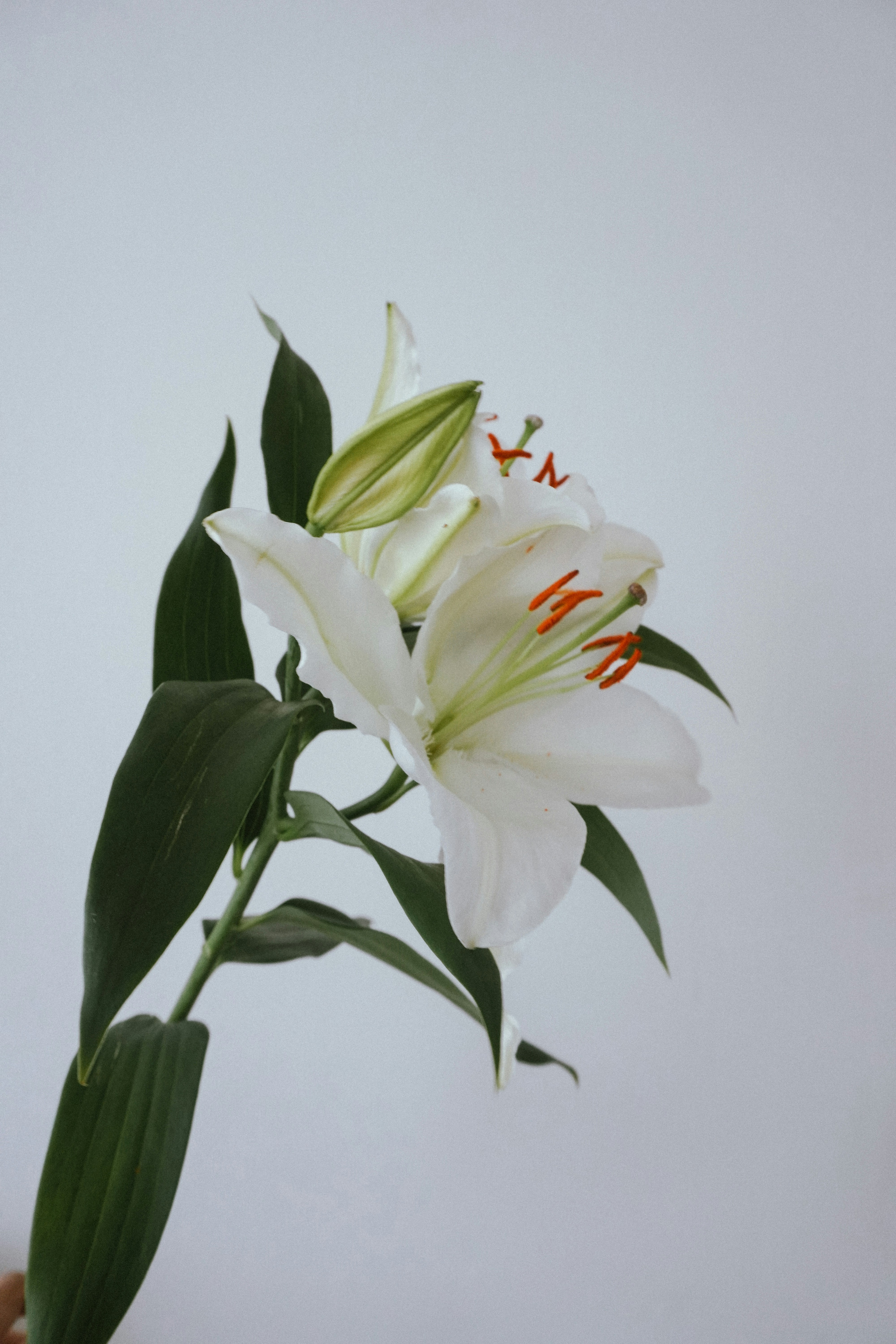 Photo by eyesthetiquee