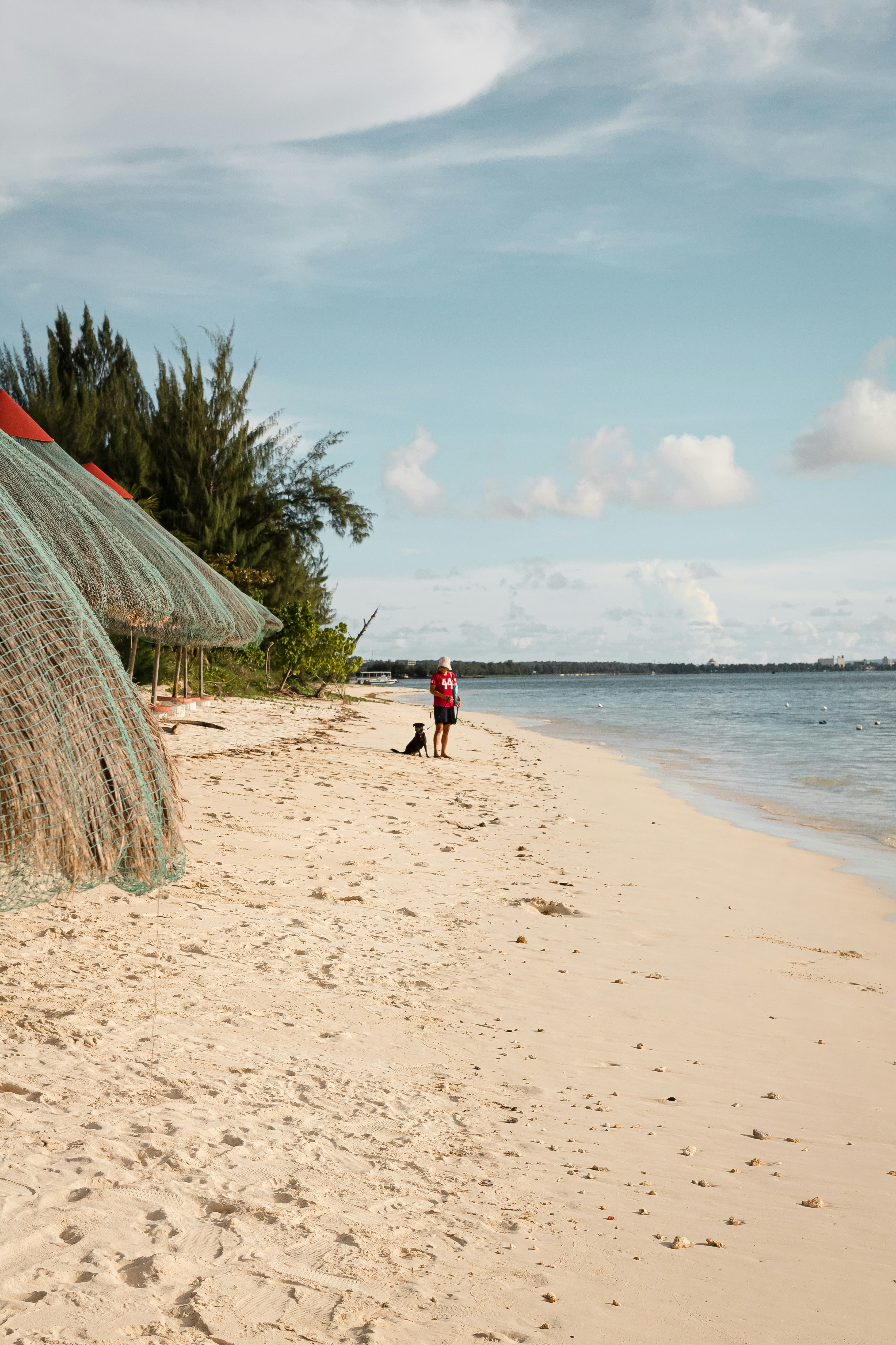 A person walking on a sandy beach next to a body of water