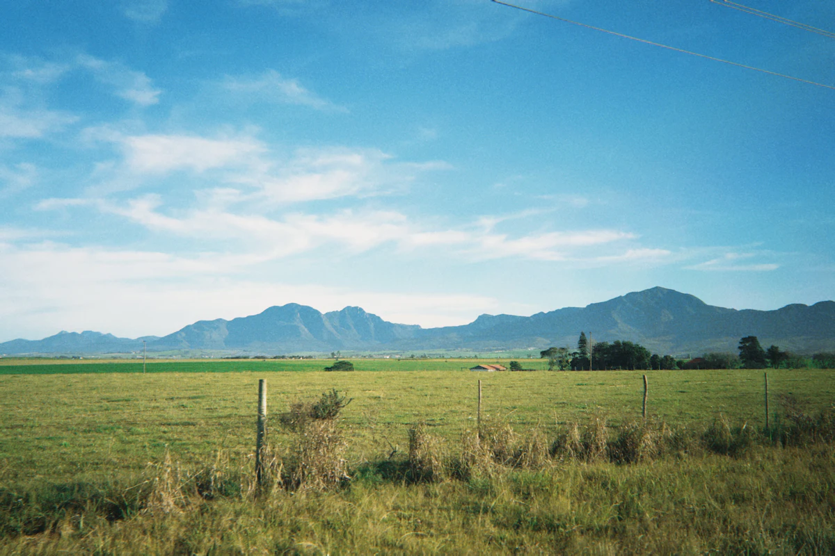 Green farmland near George, with a long mountain range behind