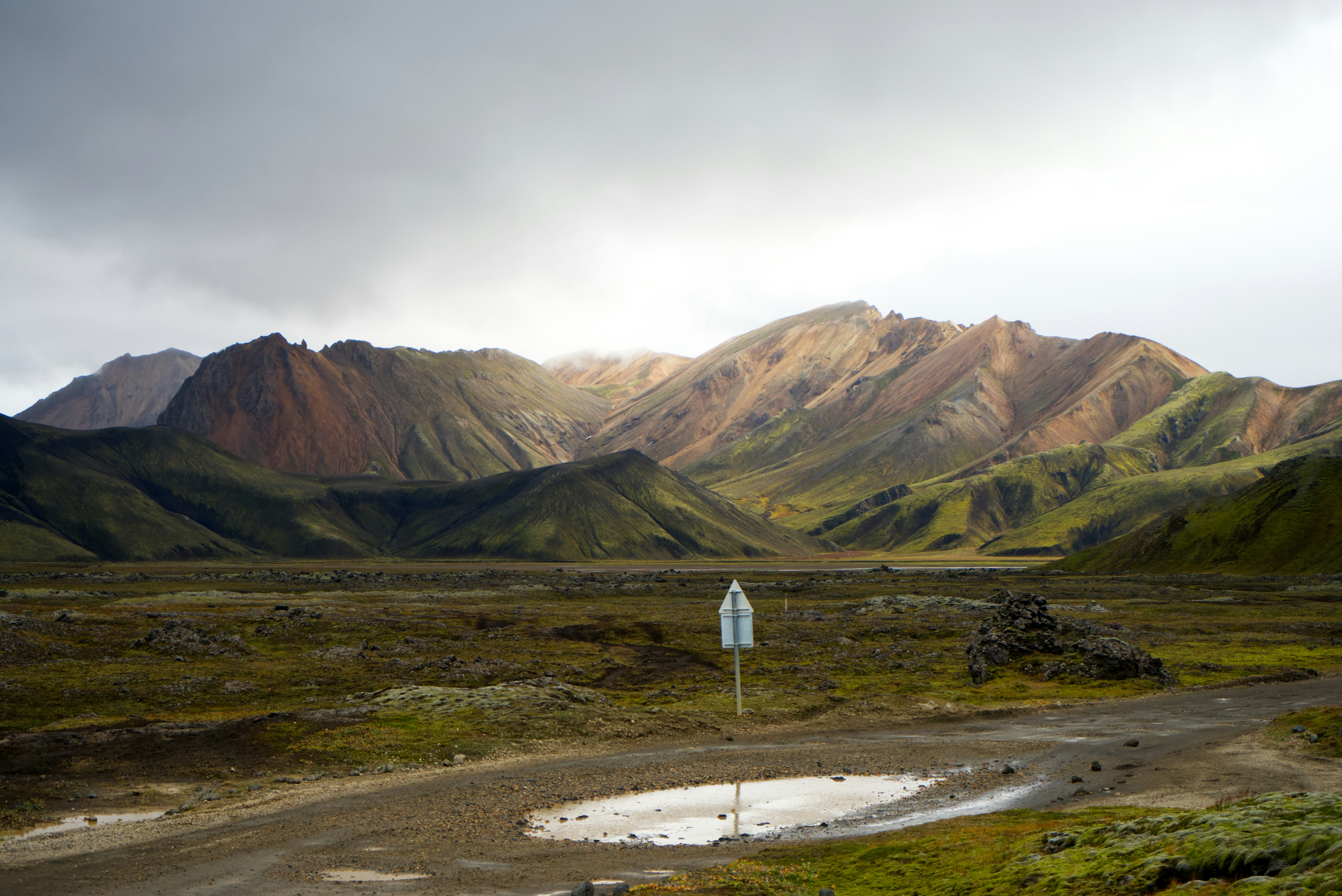 A dirt road in the middle of a field with mountains in the background