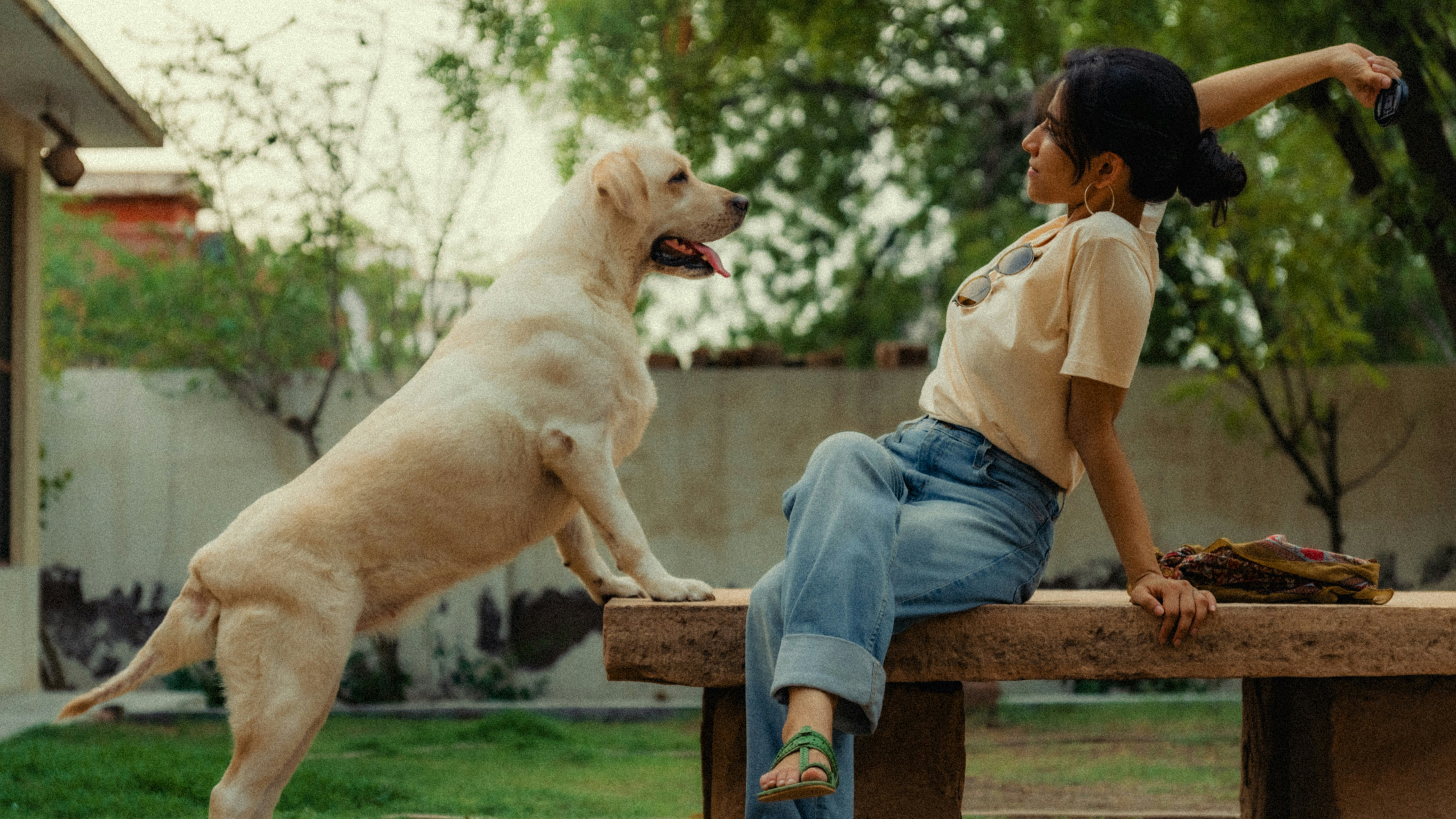 A woman sitting on a wooden bench next to a dog