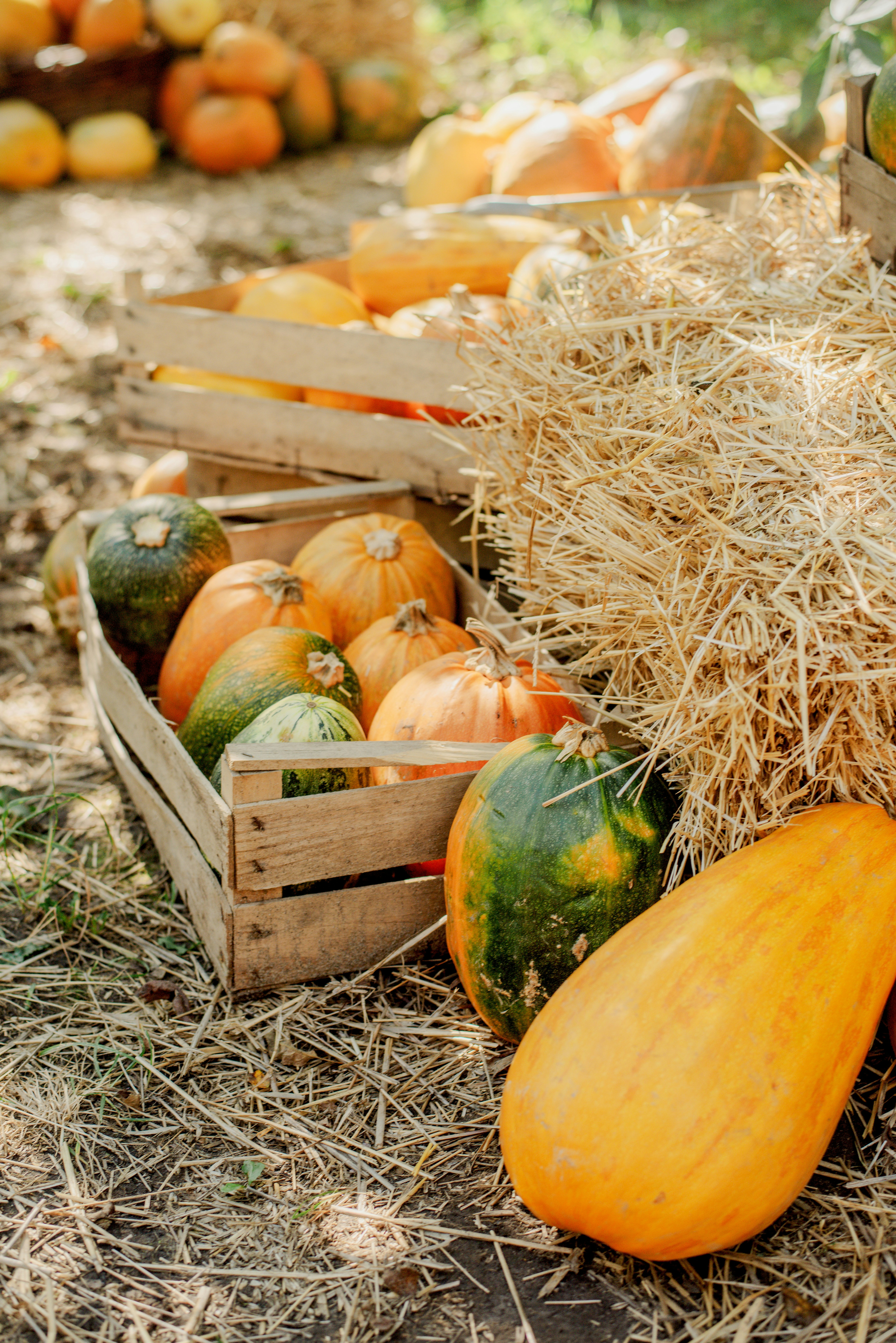 Photo by eugenivy_now