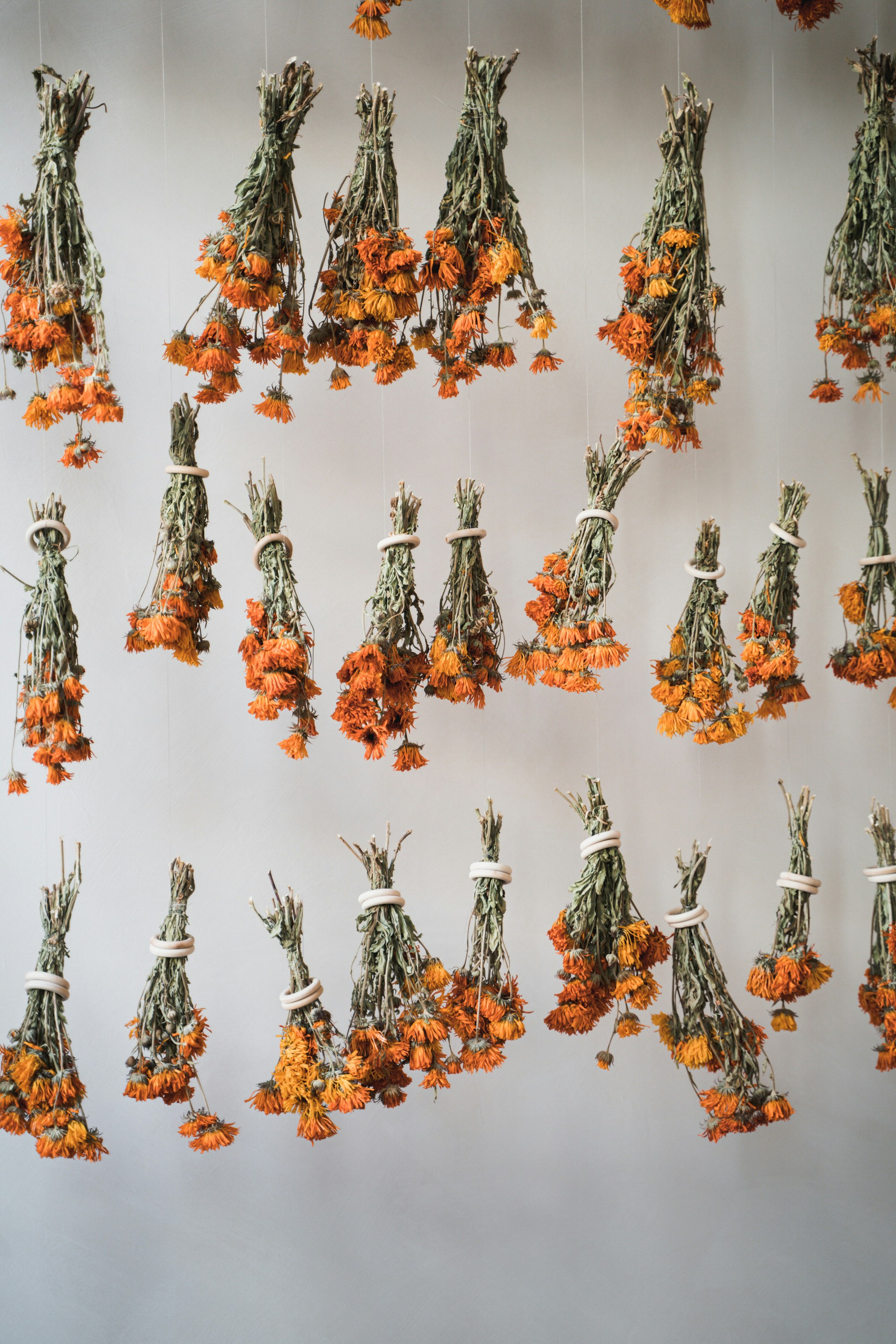 A bunch of dried flowers hanging from strings